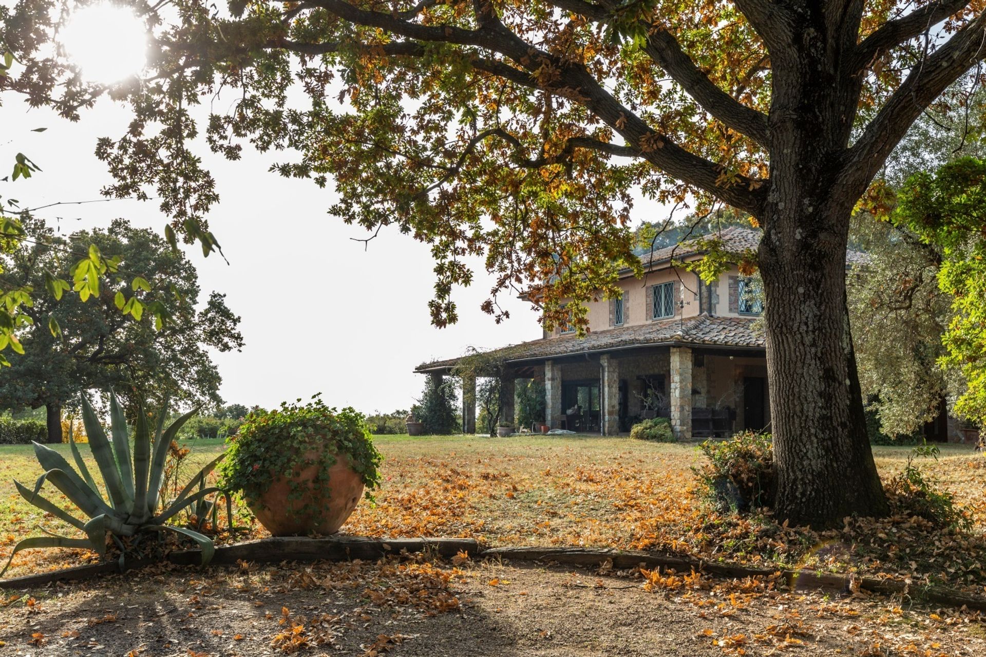 Hus i Magliano in Toscana, Tuscany 11051938