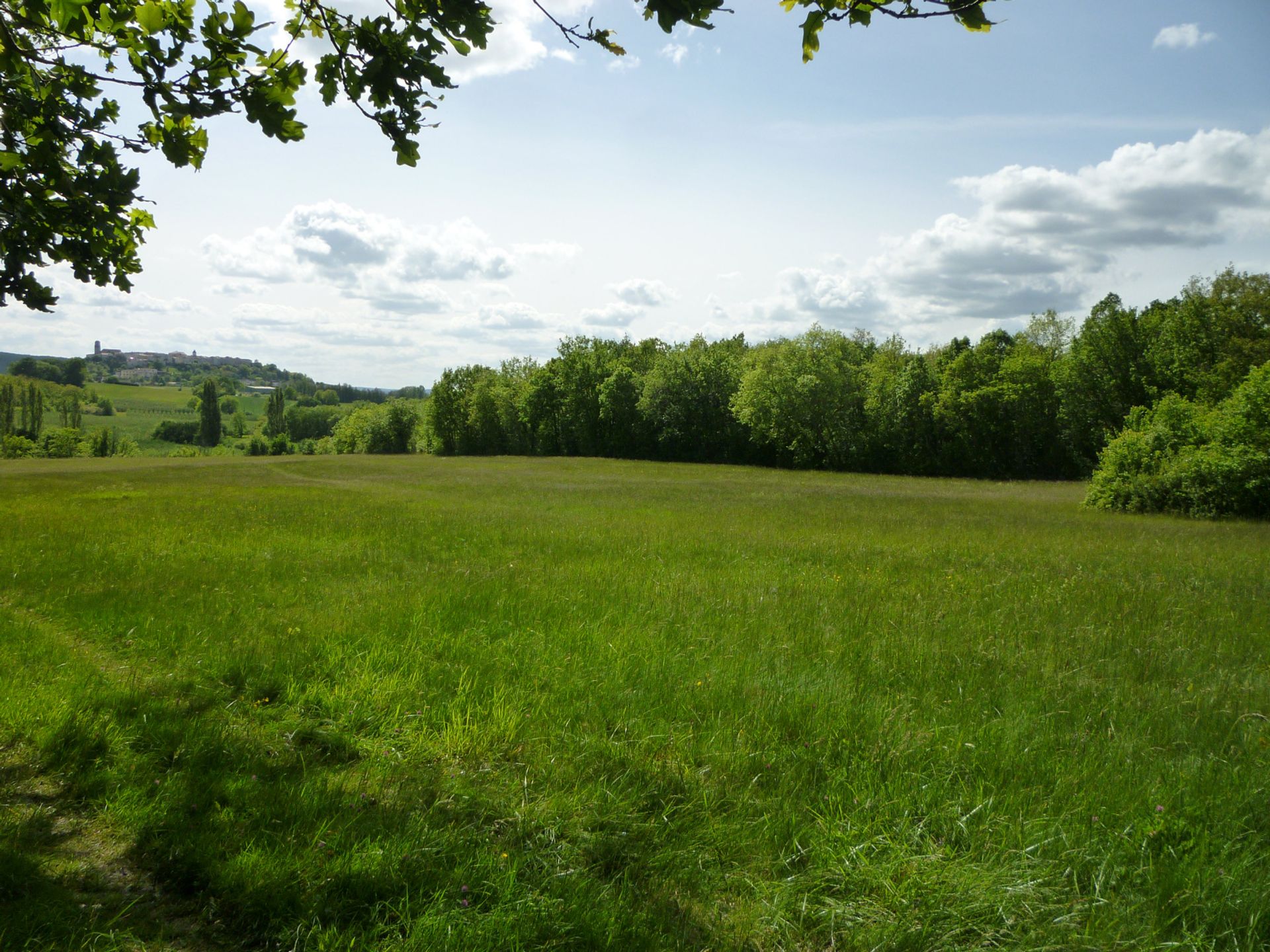 Land im Floressas, Occitanie 11051946