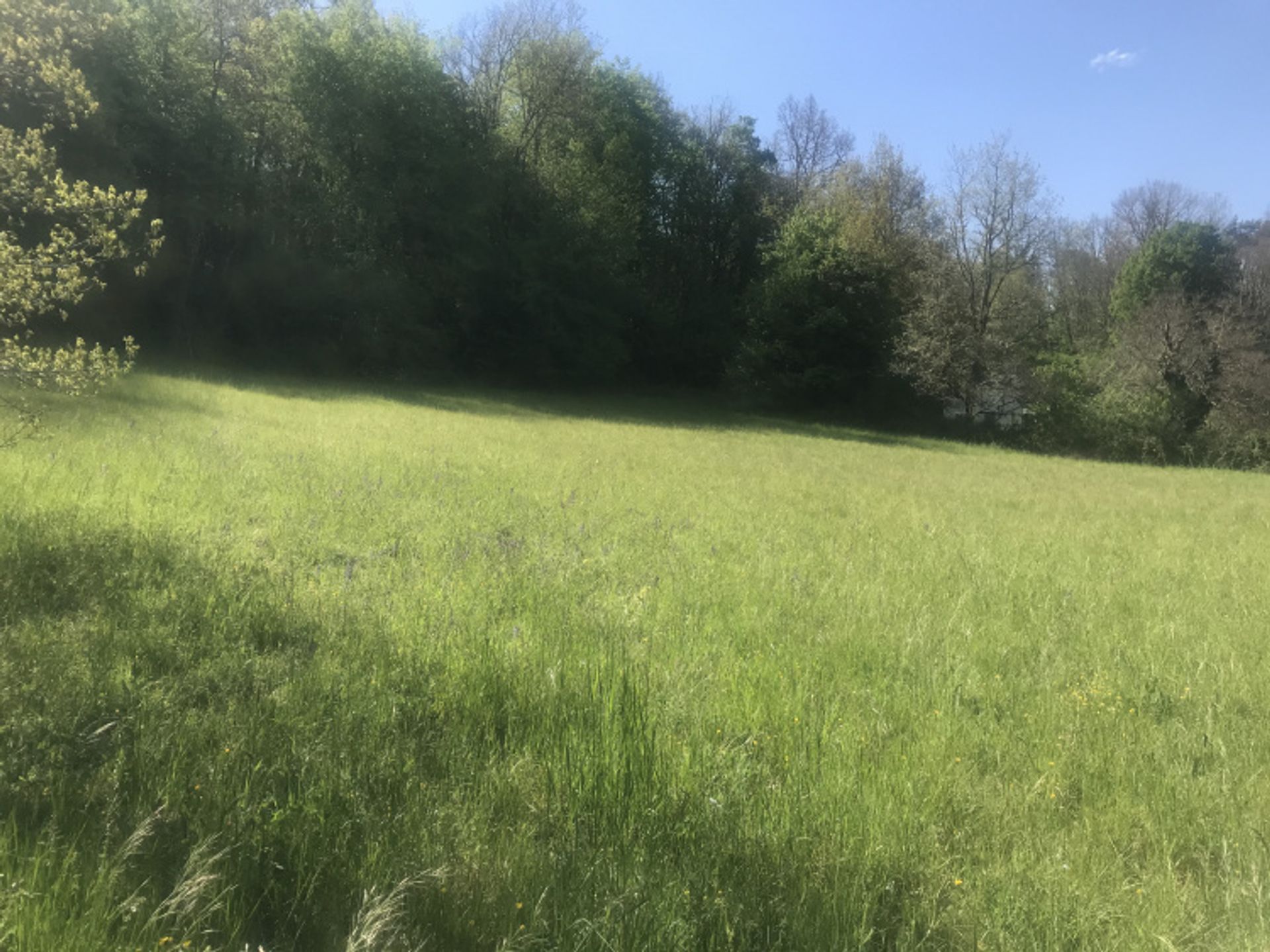 Tanah di Frayssinet-le-Gélat, Oksitanie 11051953