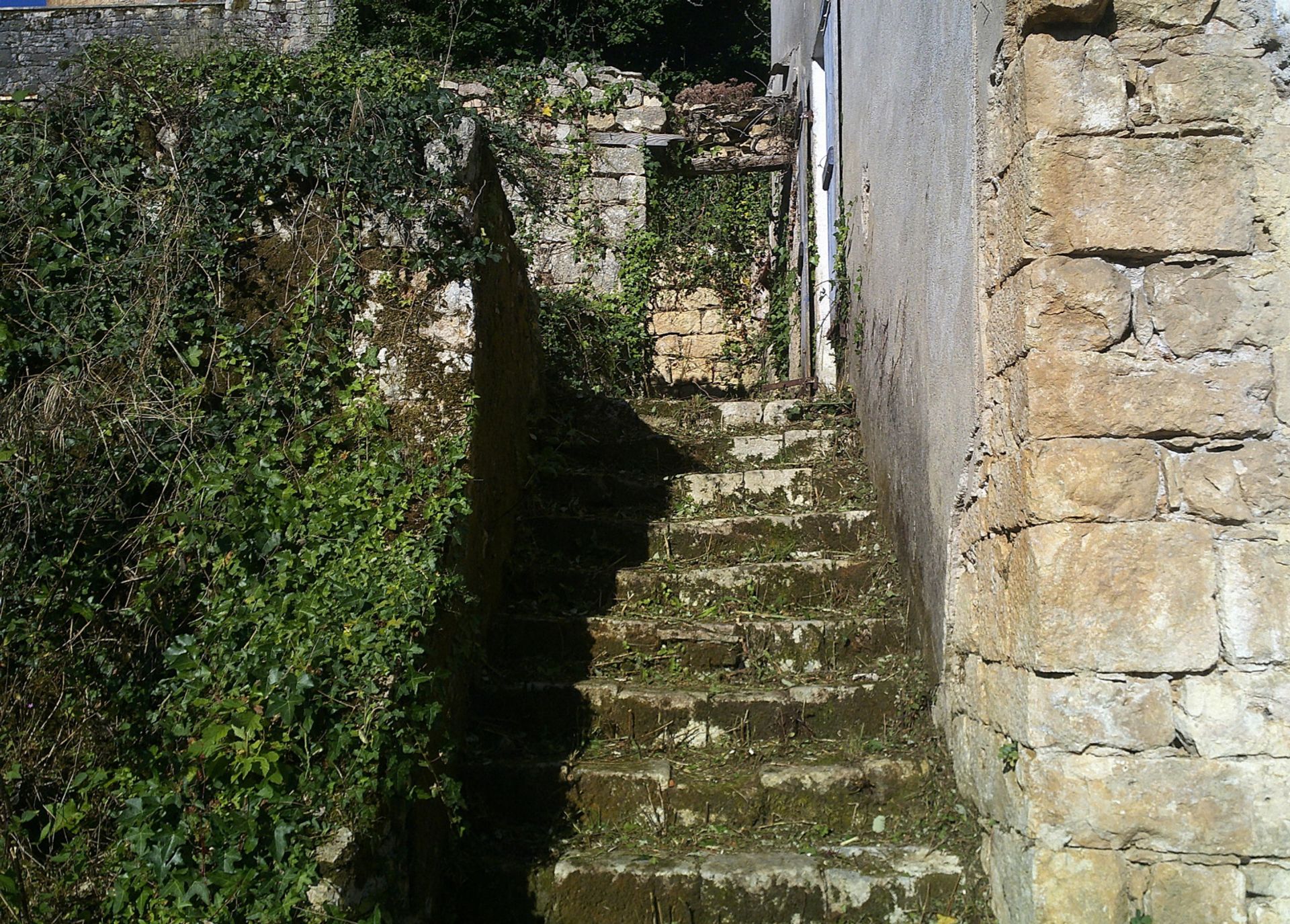 土地 在 Blanquefort-sur-Briolance, 新阿基坦大區 11051958