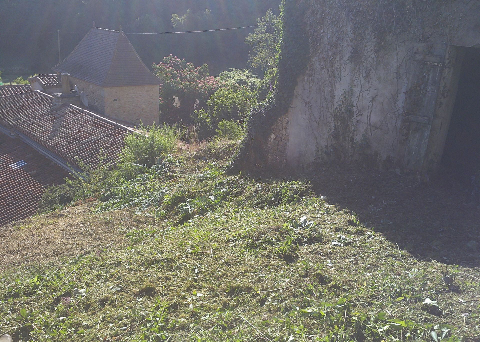 Terra no Blanquefort-sur-Briolance, Nouvelle-Aquitaine 11051958