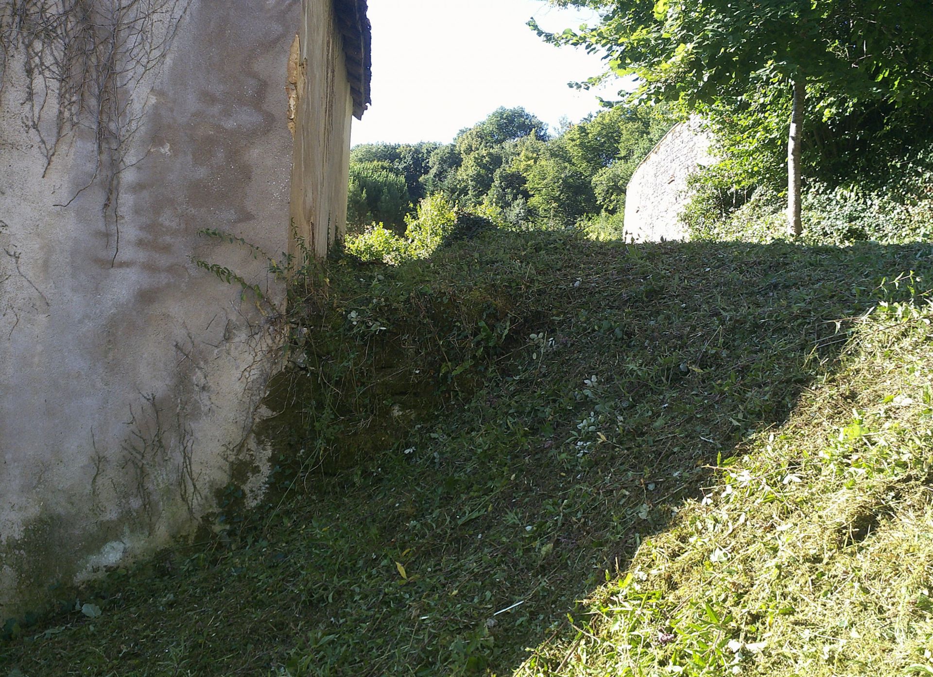 Terra no Blanquefort-sur-Briolance, Nouvelle-Aquitaine 11051958