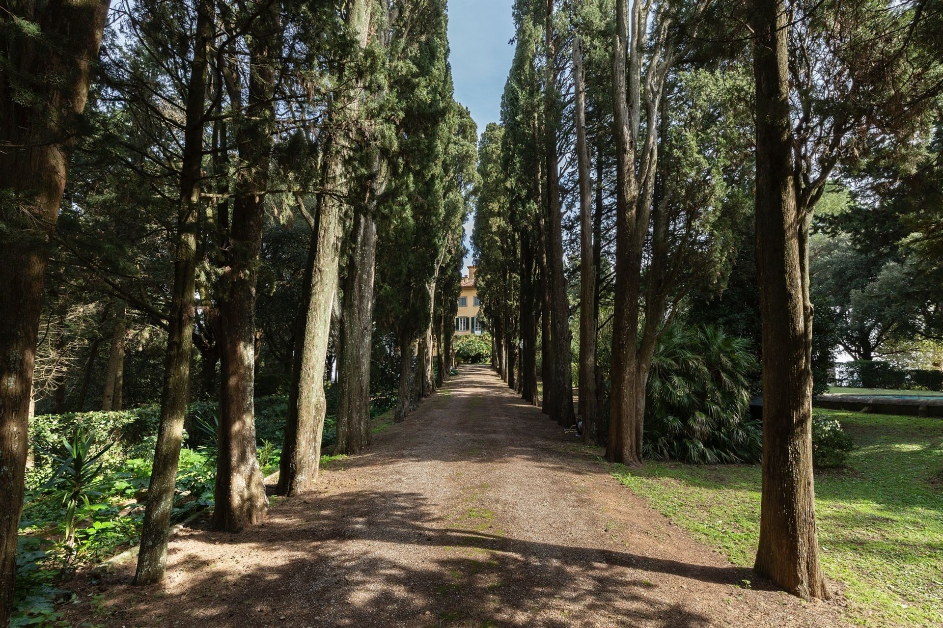 房子 在 Casciana Terme, Toscana 11052011