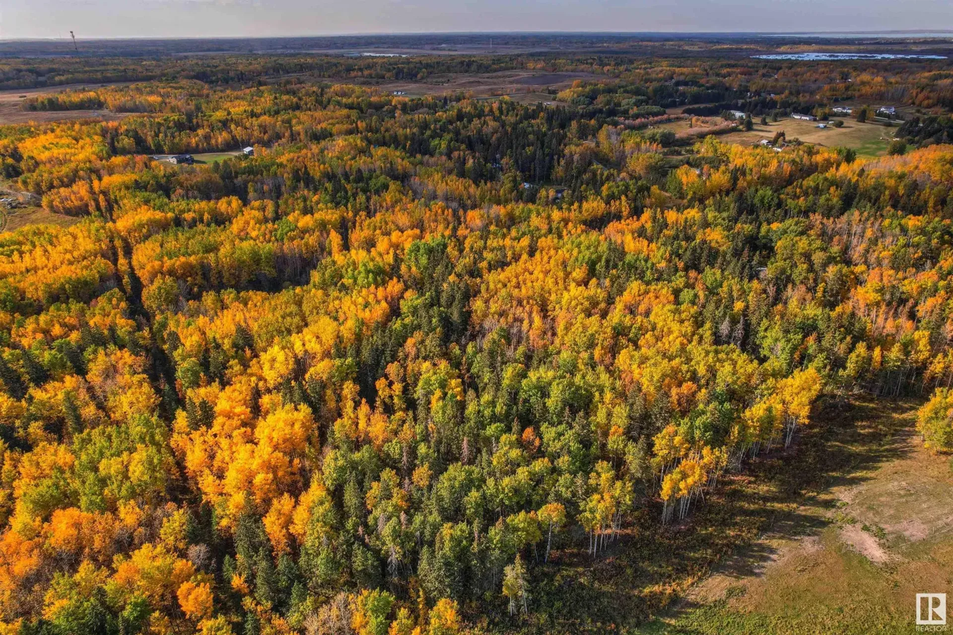 آخر في Duffield, Alberta 11052033