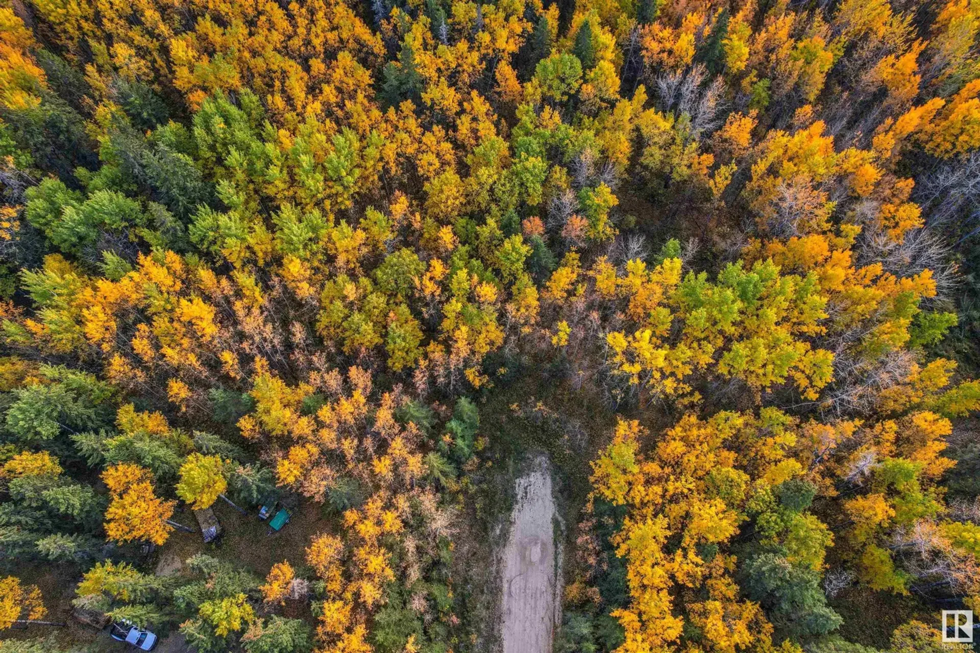 آخر في Duffield, Alberta 11052033