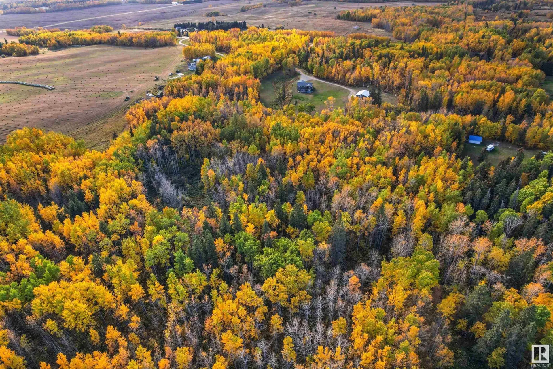 آخر في Duffield, Alberta 11052033