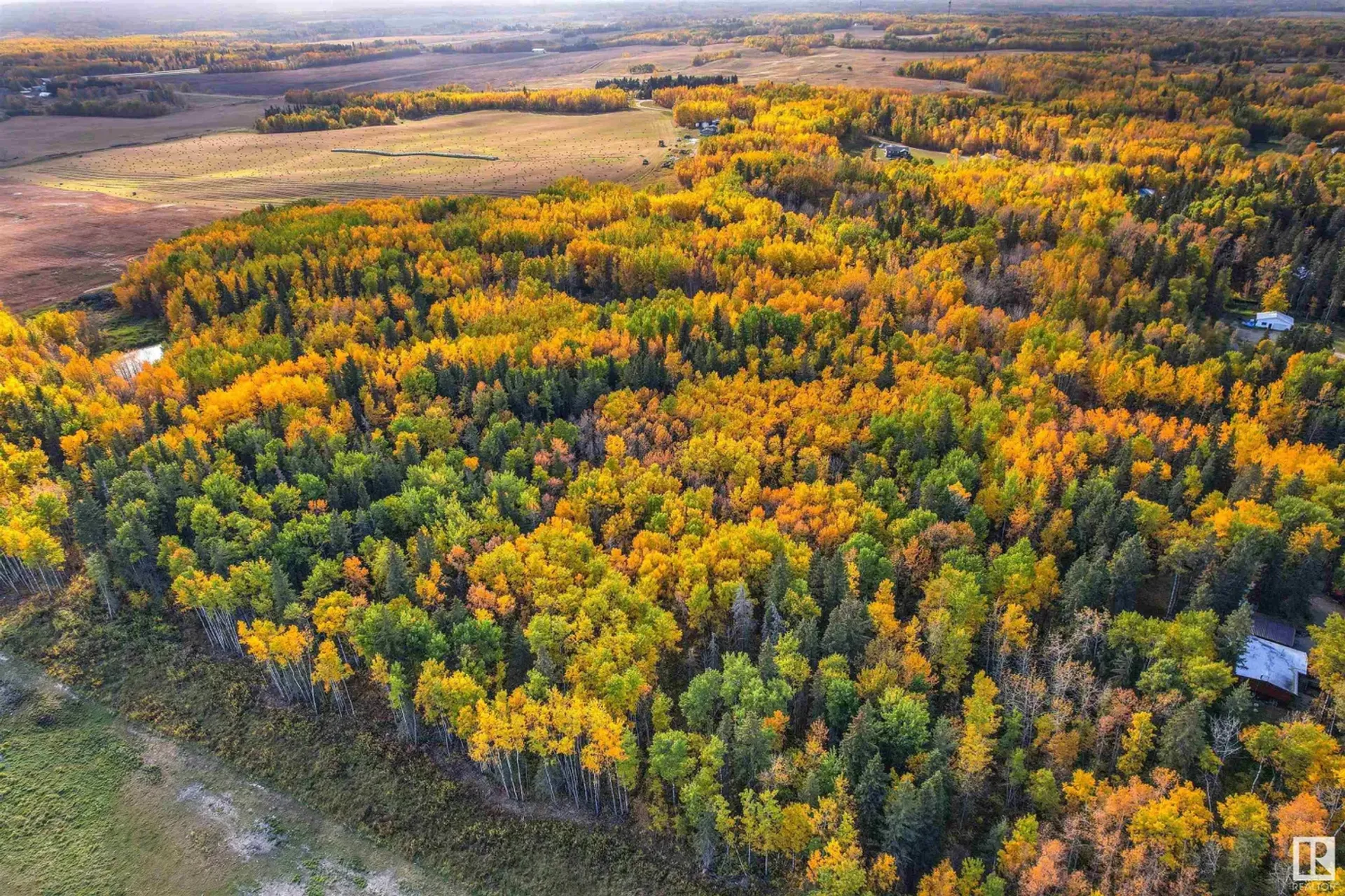 آخر في Duffield, Alberta 11052033