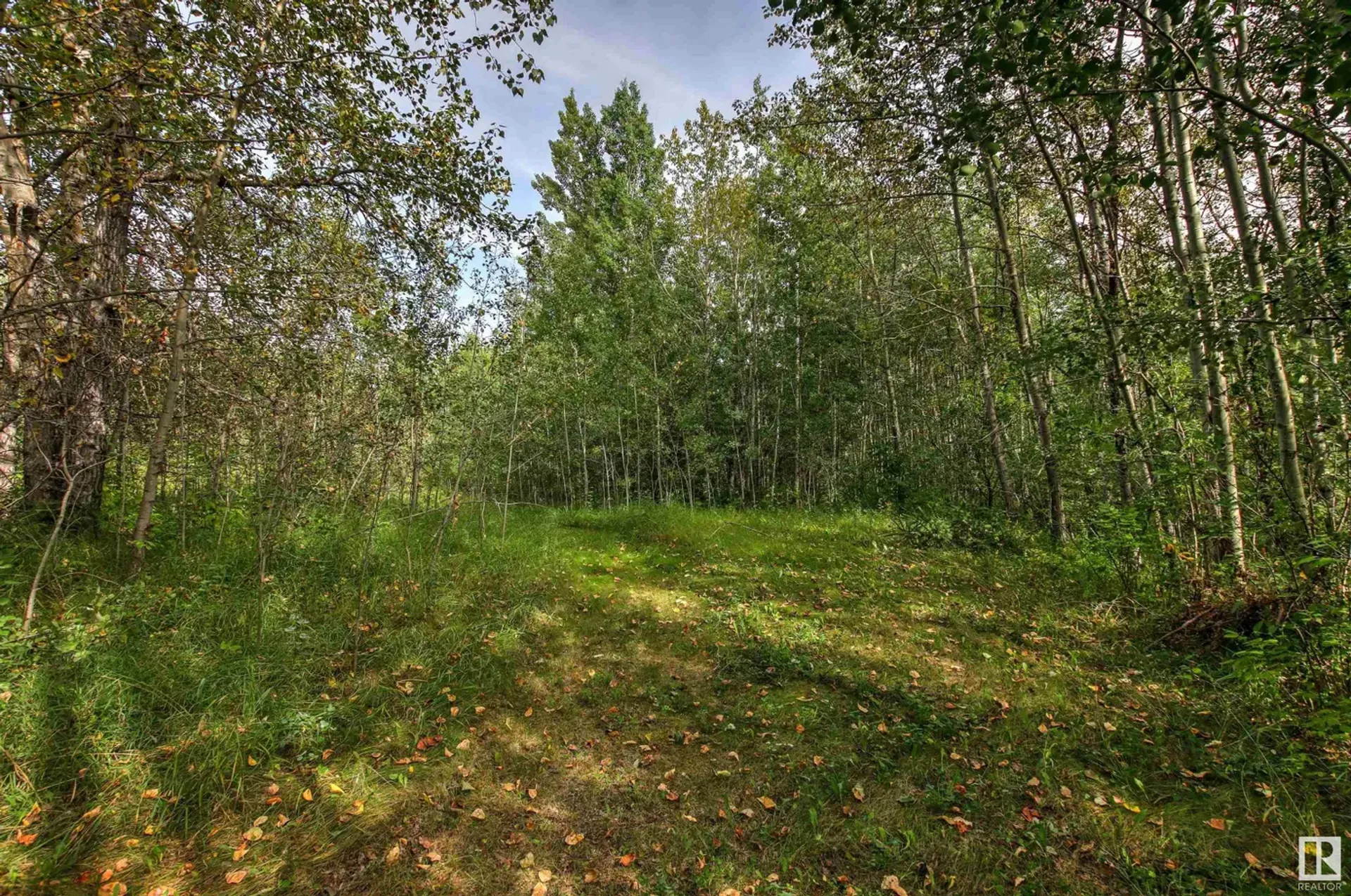 Otro en Carvel, Alberta 11052042