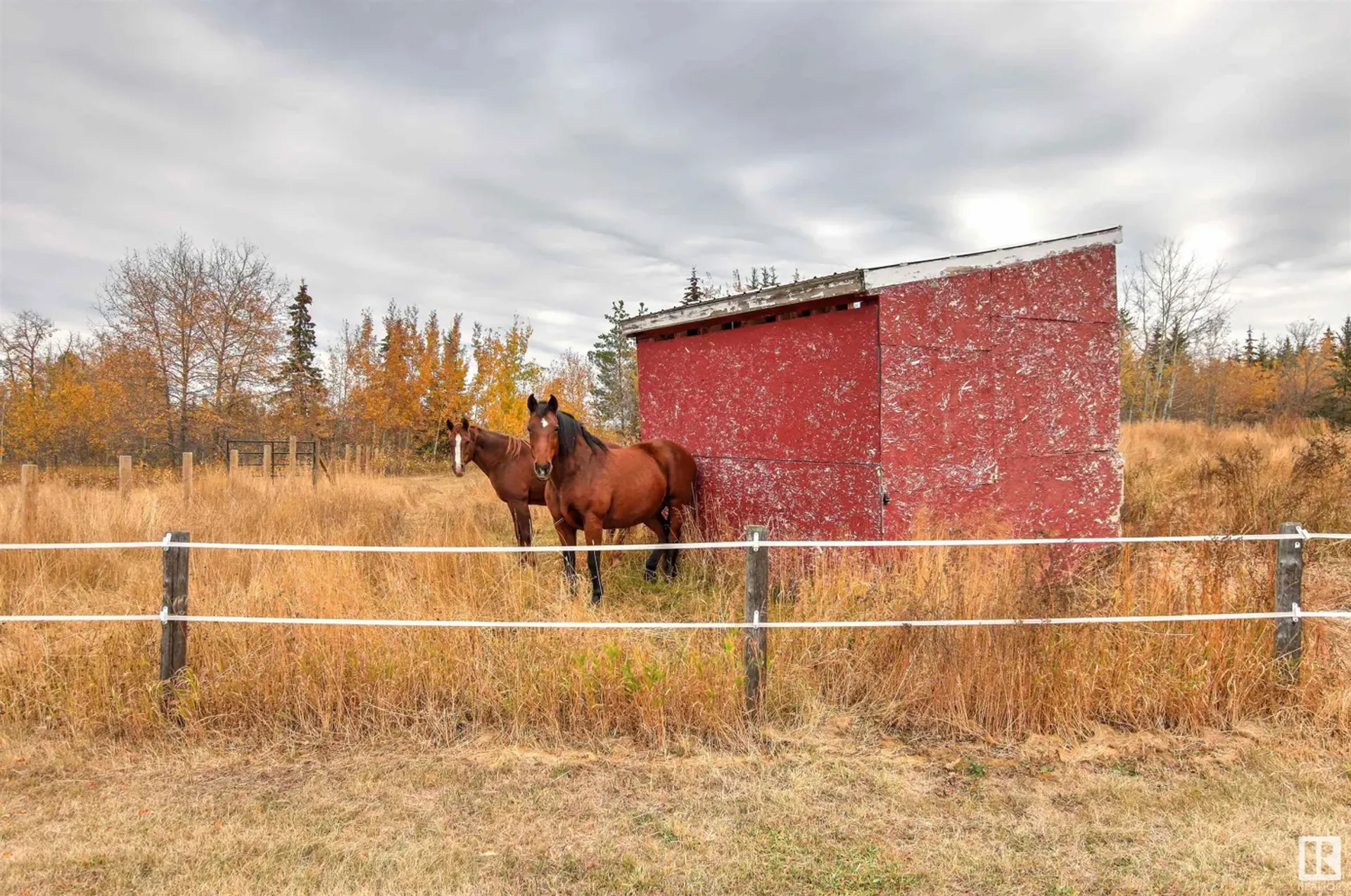 Annen i Spruce Grove, Alberta 11052050