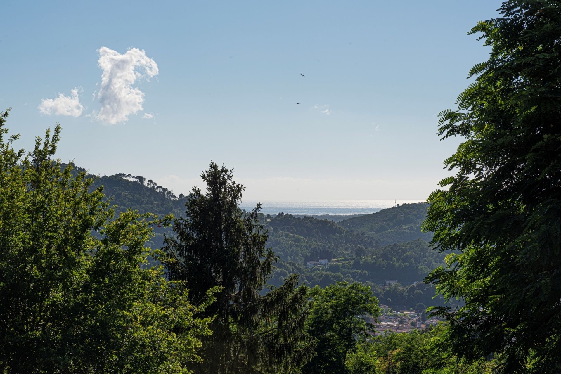 بيت في Camaiore, Toscana 11052212