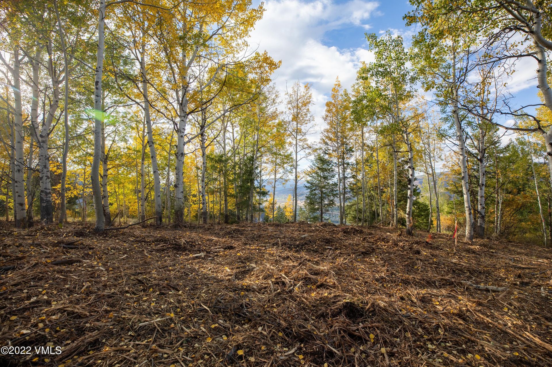 ארץ ב Beaver Creek, Colorado 11052263