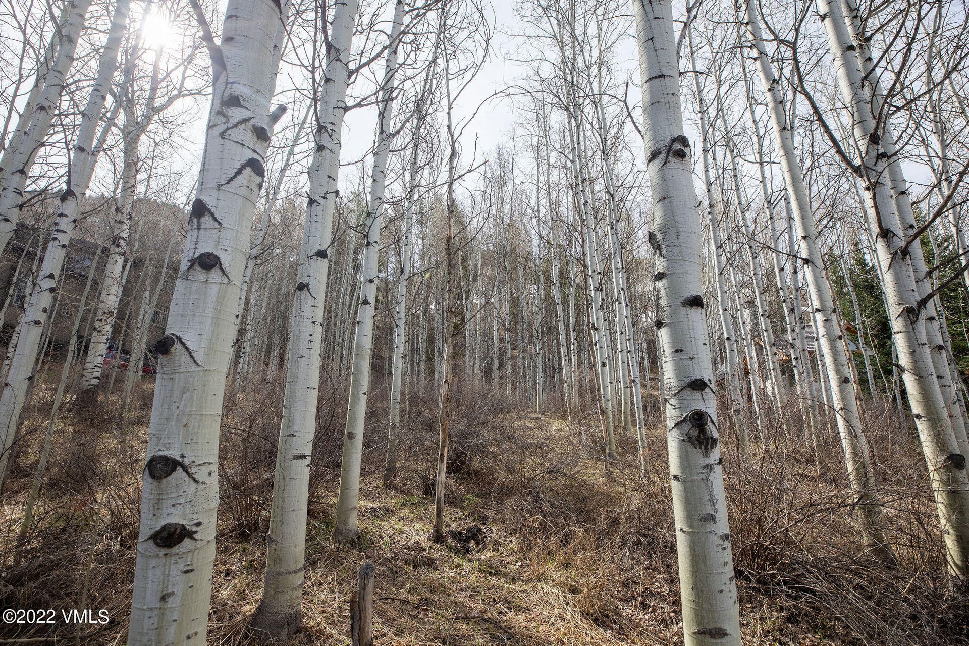 Земля в Vail, Colorado 11052294