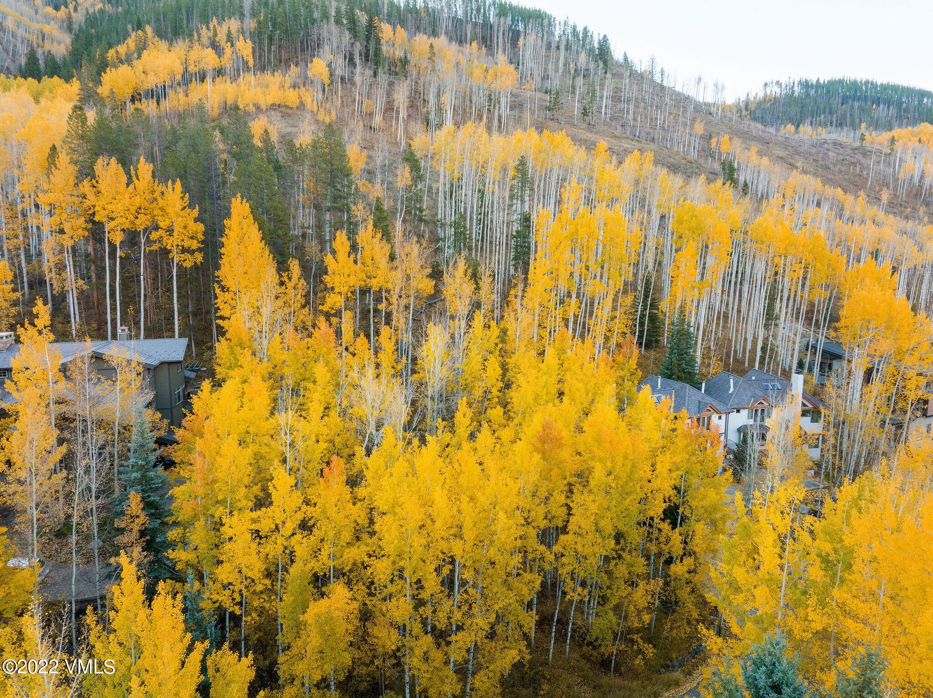 Земля в Vail, Colorado 11052294