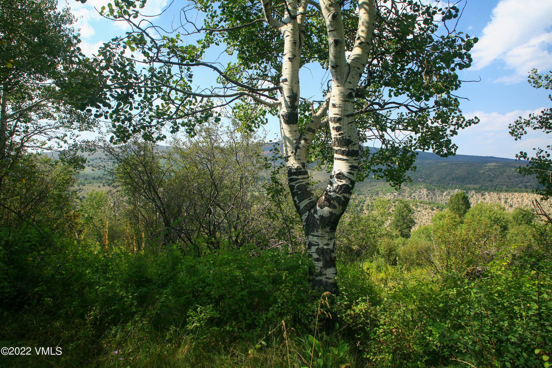 Land i Edwards, Colorado 11052305