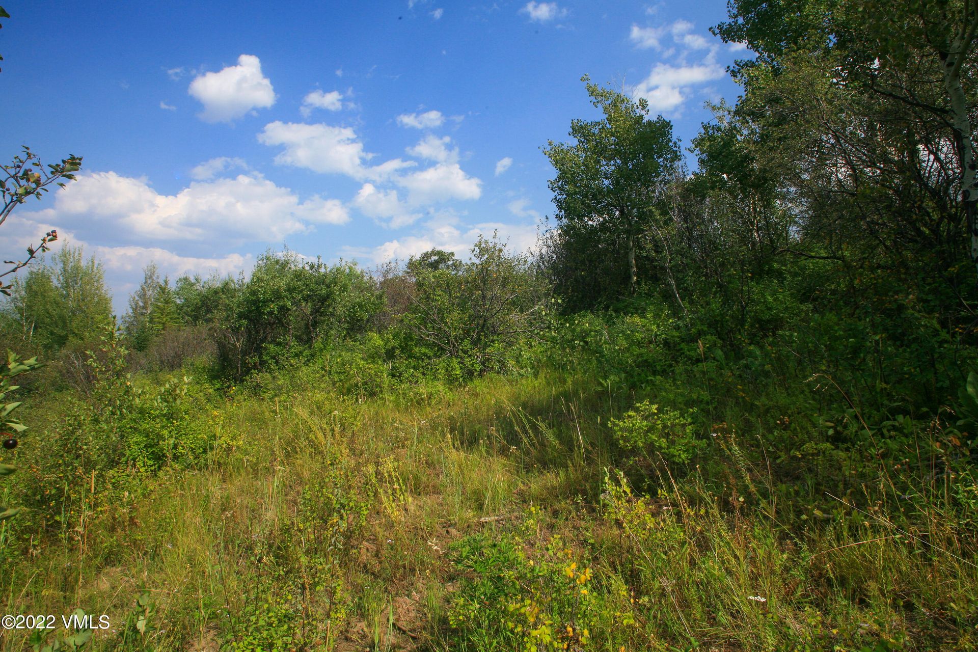 Land i Edwards, Colorado 11052305