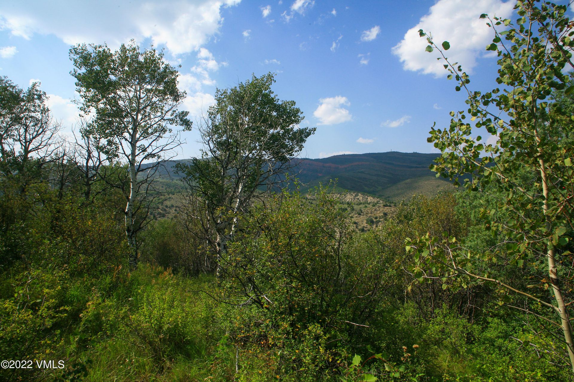 Land i Edwards, Colorado 11052305