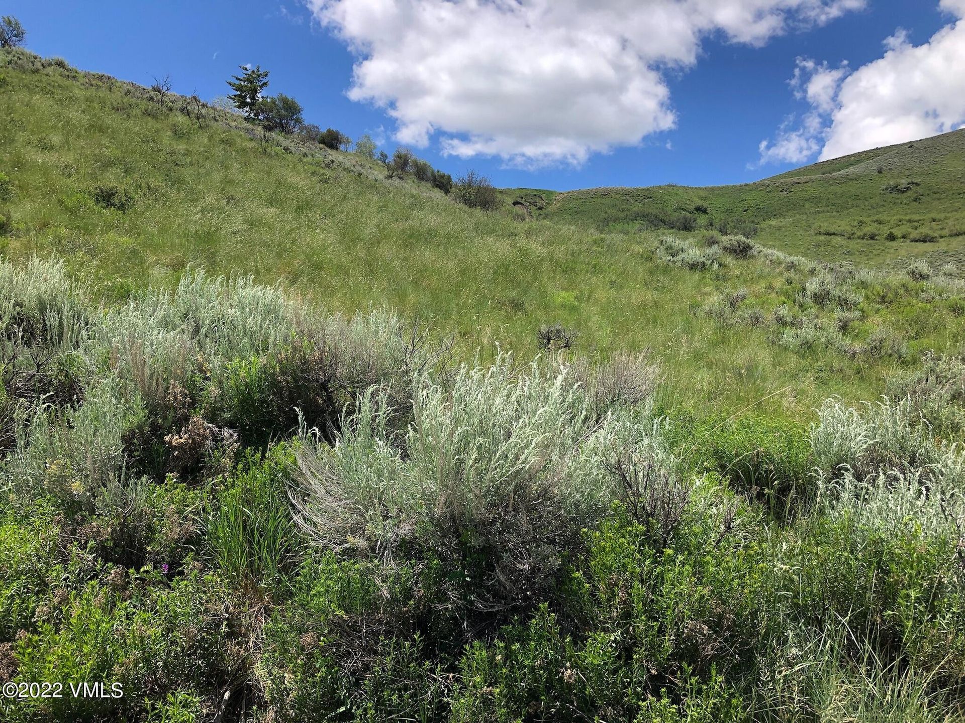 Land i Knytte bånd, Colorado 11052371