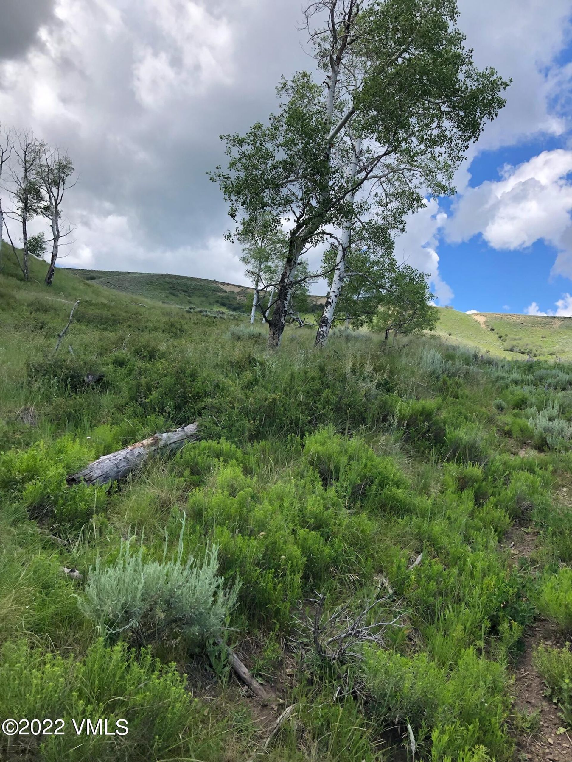 土地 在 Bond, Colorado 11052371