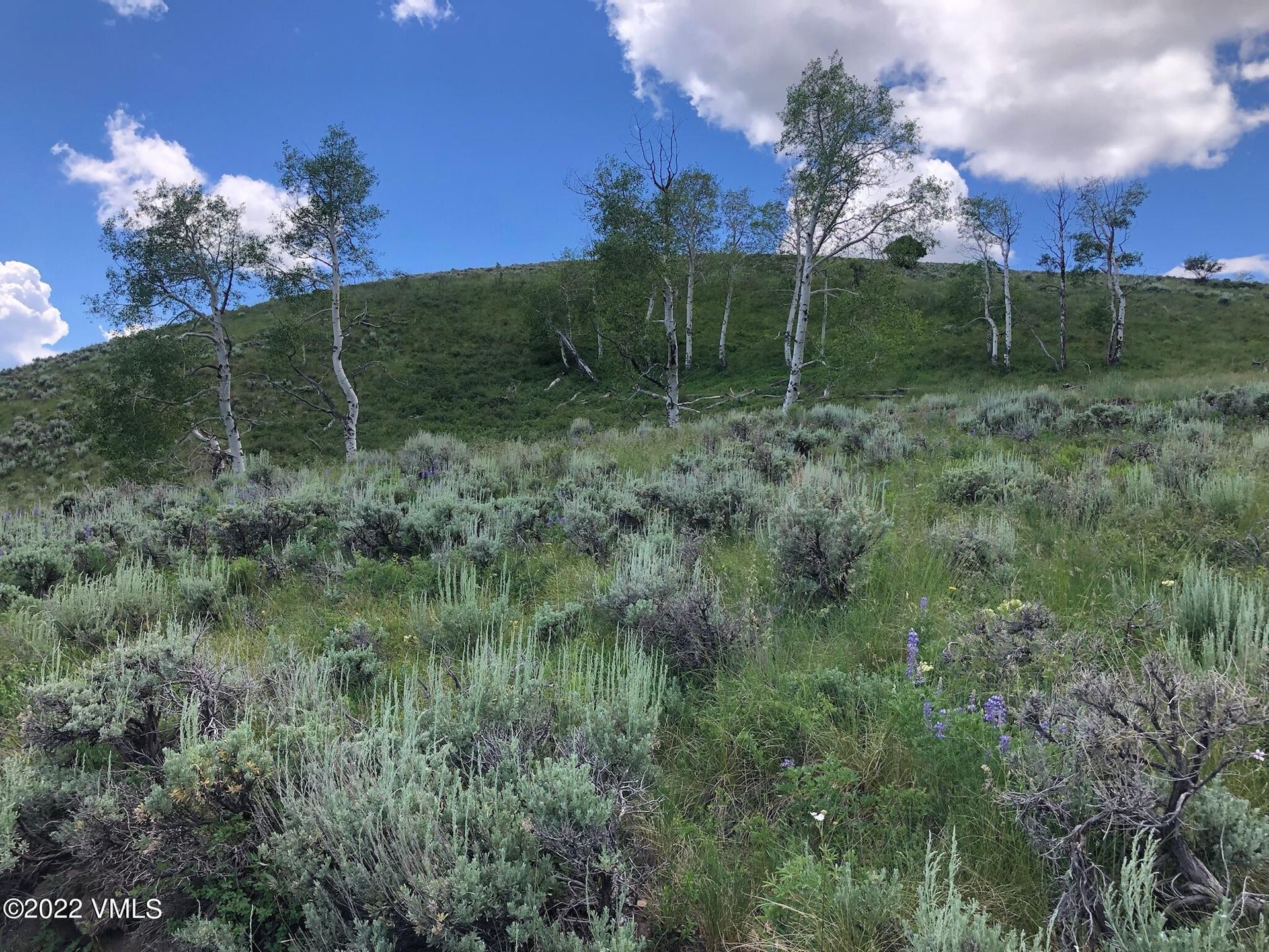 Land i Knytte bånd, Colorado 11052371