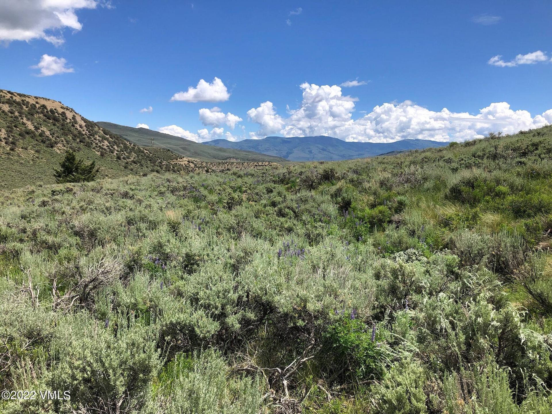 Land i Knytte bånd, Colorado 11052371