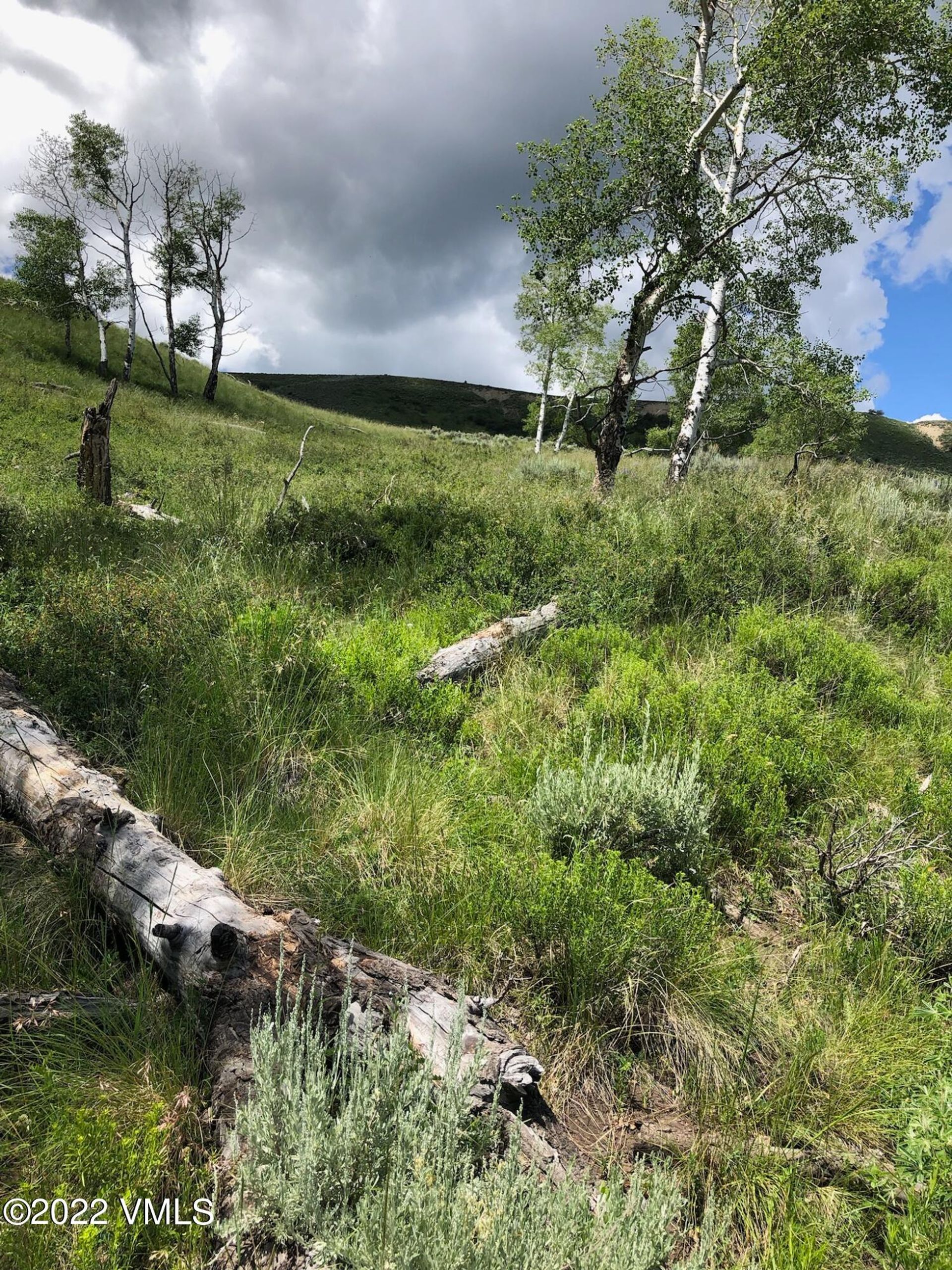 土地 在 Bond, Colorado 11052371