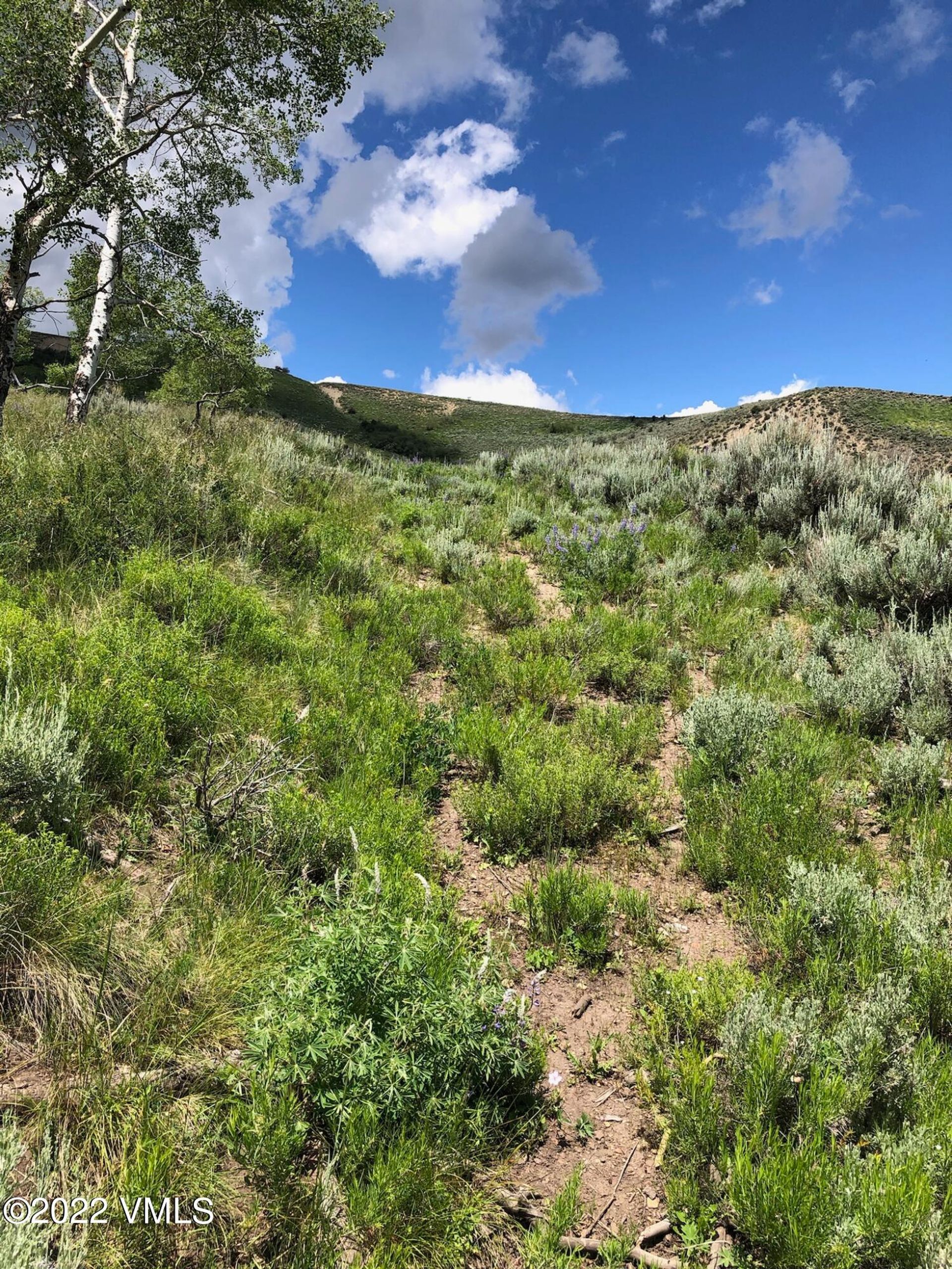 土地 在 Bond, Colorado 11052371