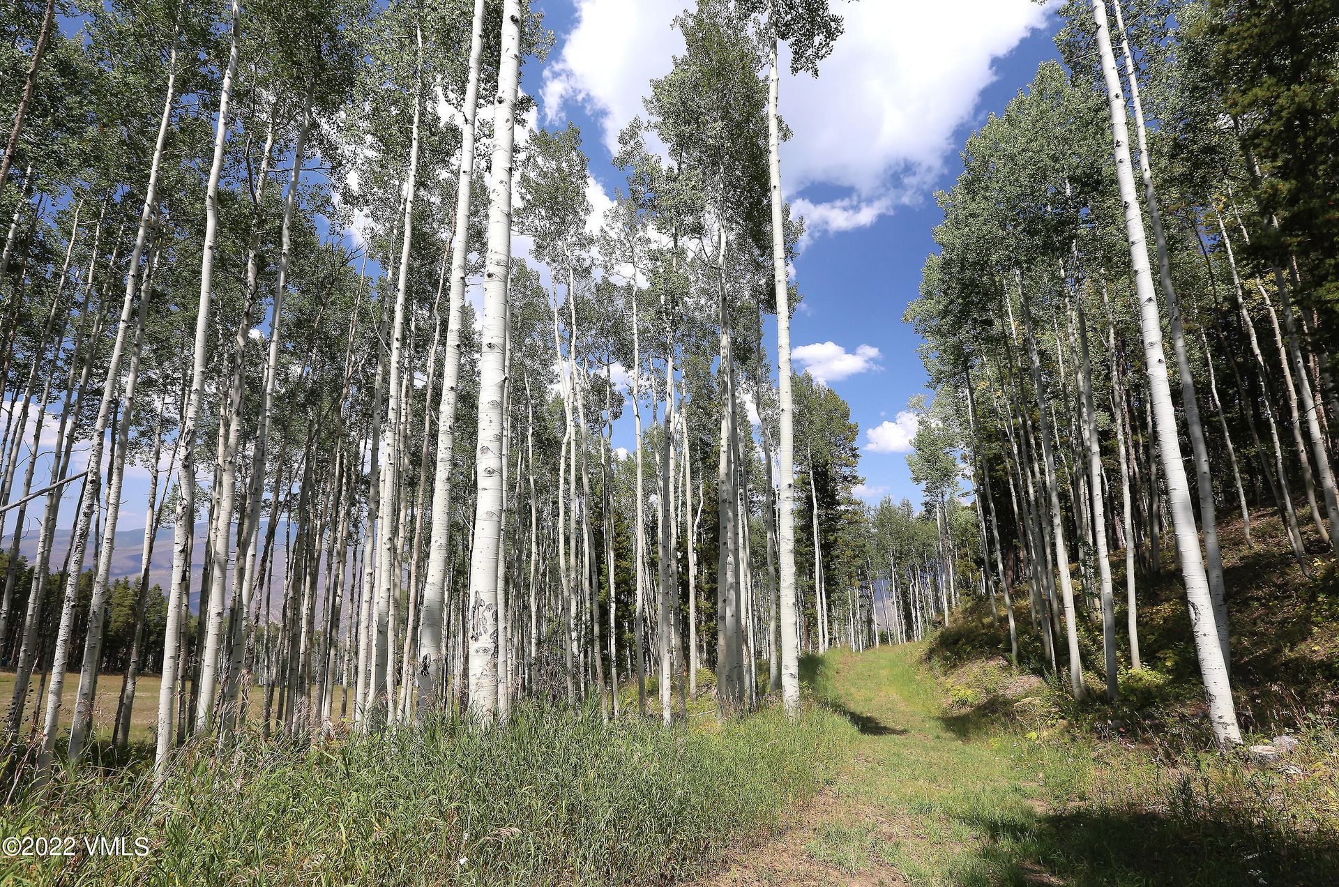 Γη σε Edwards, Colorado 11052373