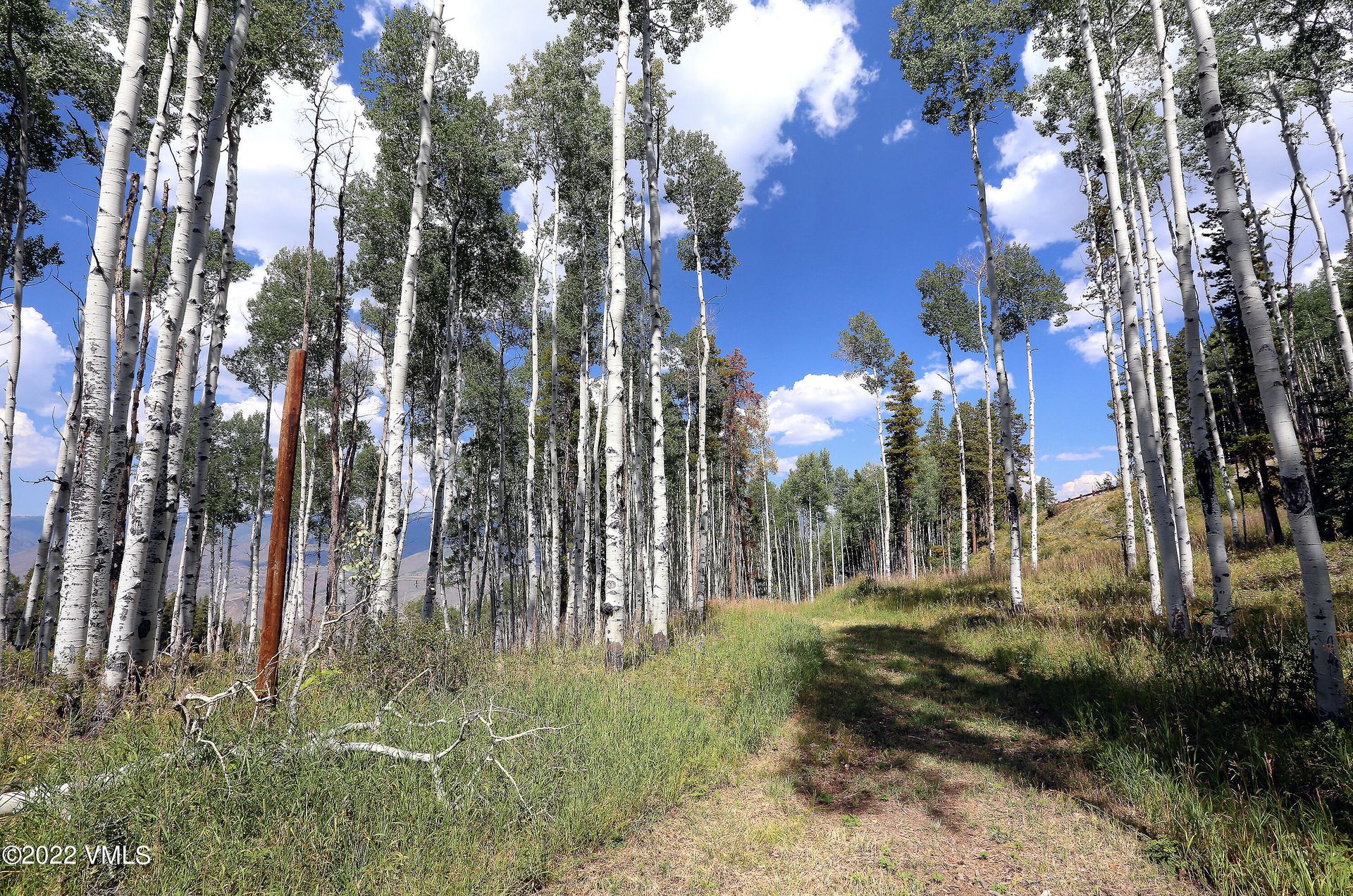 Γη σε Edwards, Colorado 11052373