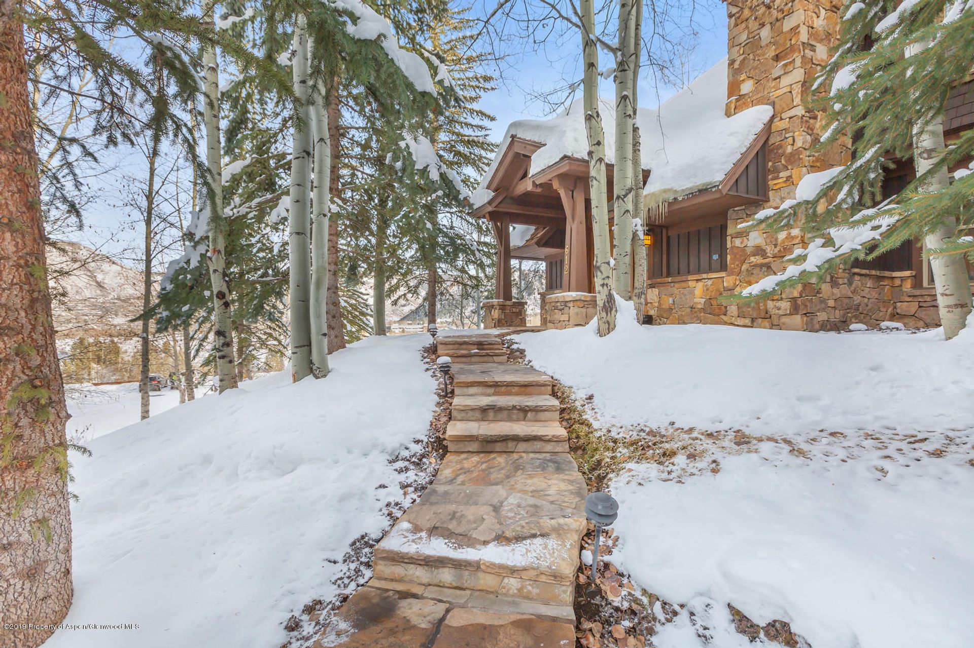 Haus im Aspen, Colorado 11052464