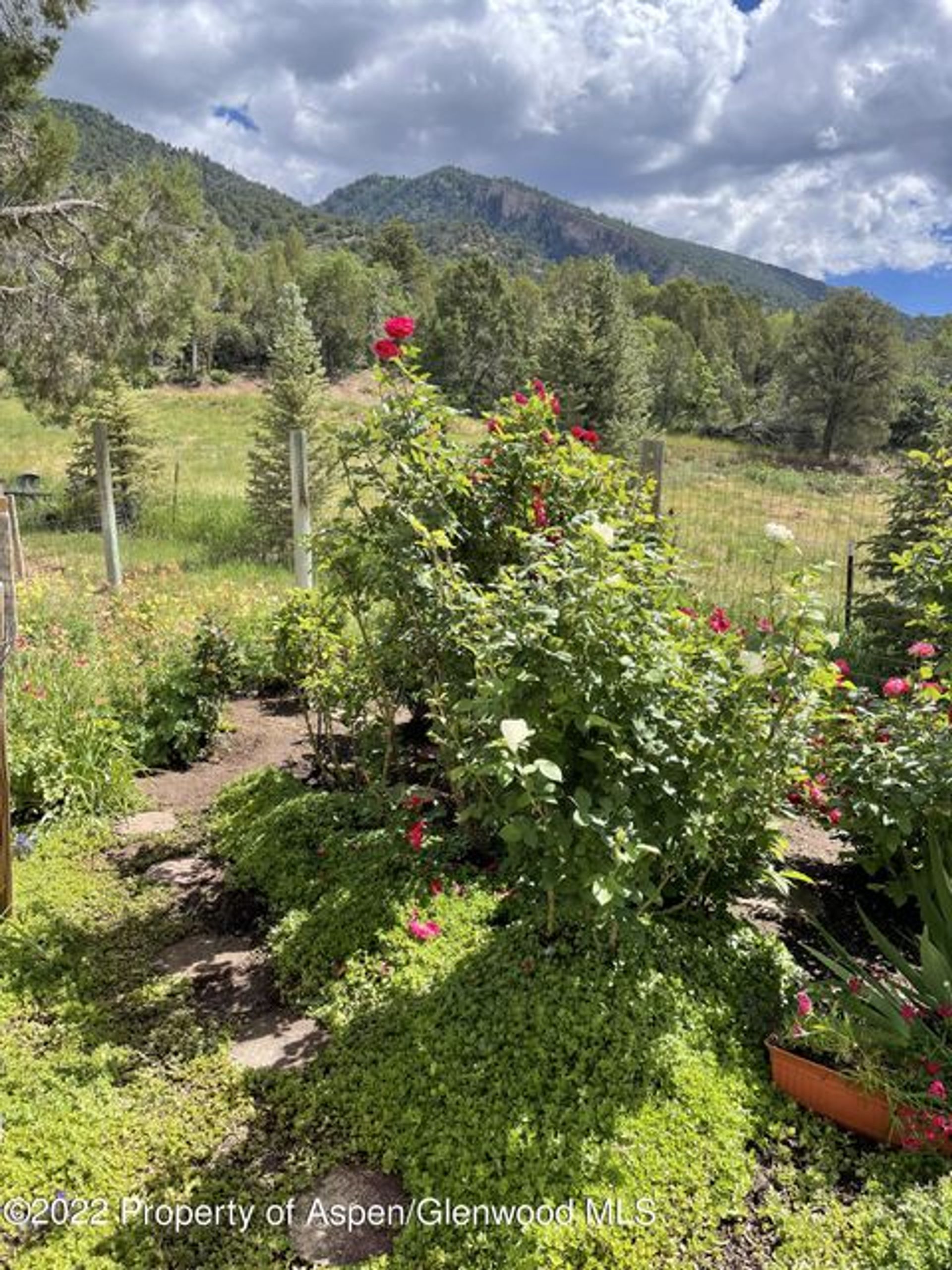 Haus im Glenwood Springs, Colorado 11052549