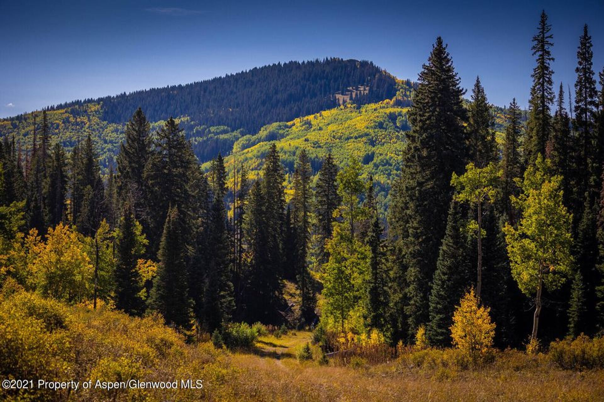 भूमि में New Castle, Colorado 11052559