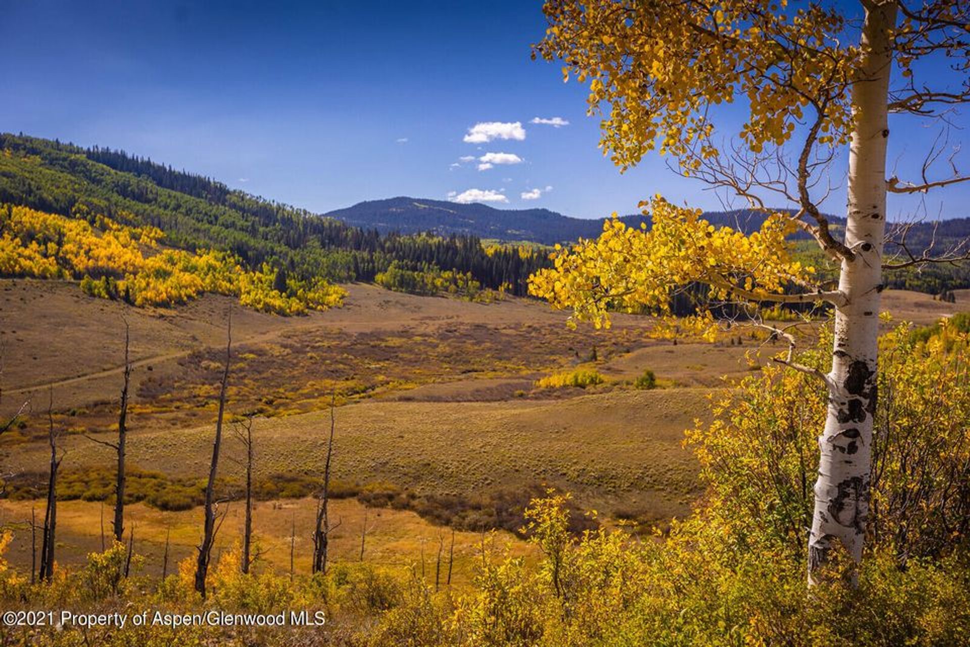 Tanah dalam New Castle, Colorado 11052559