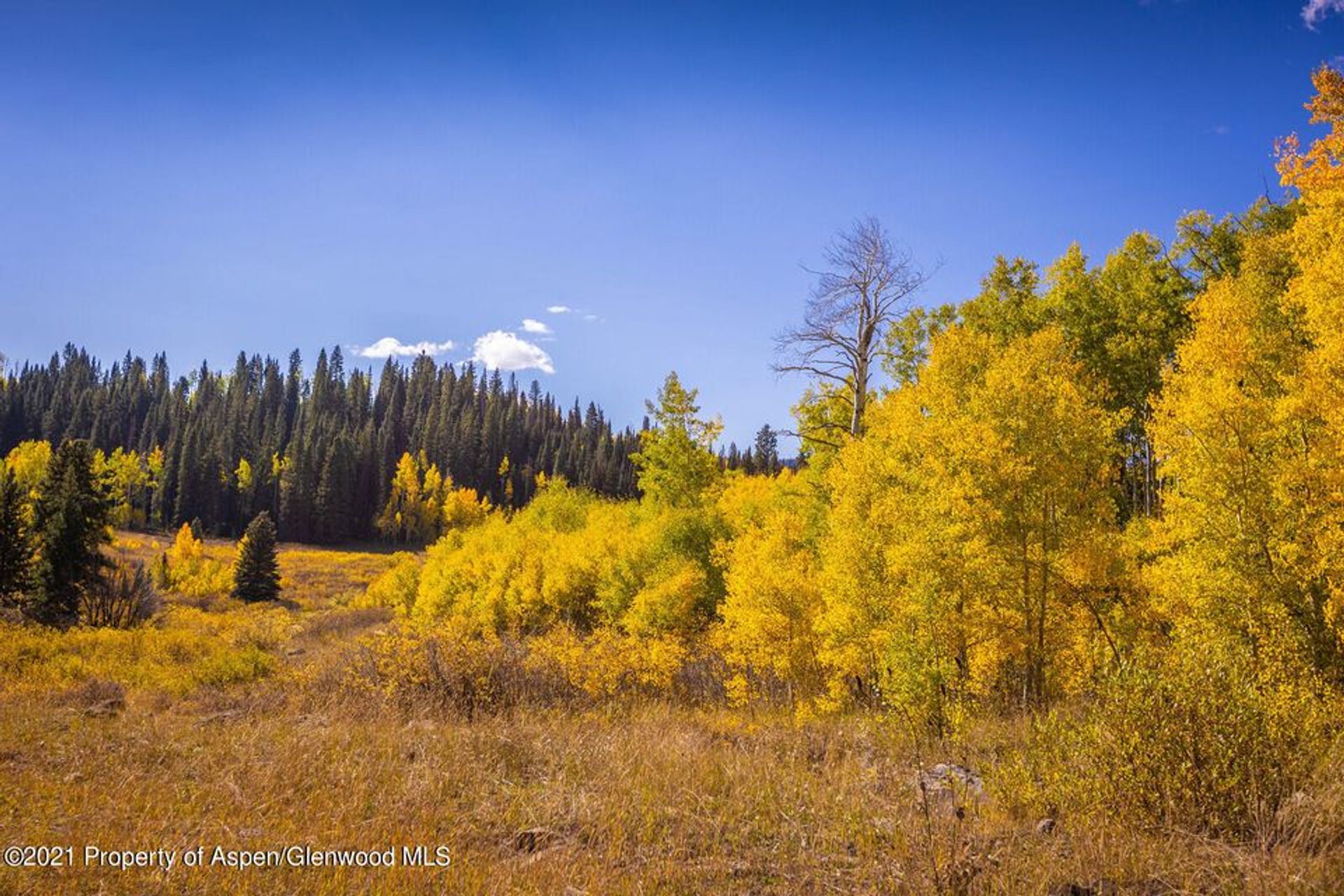 Tanah dalam New Castle, Colorado 11052580