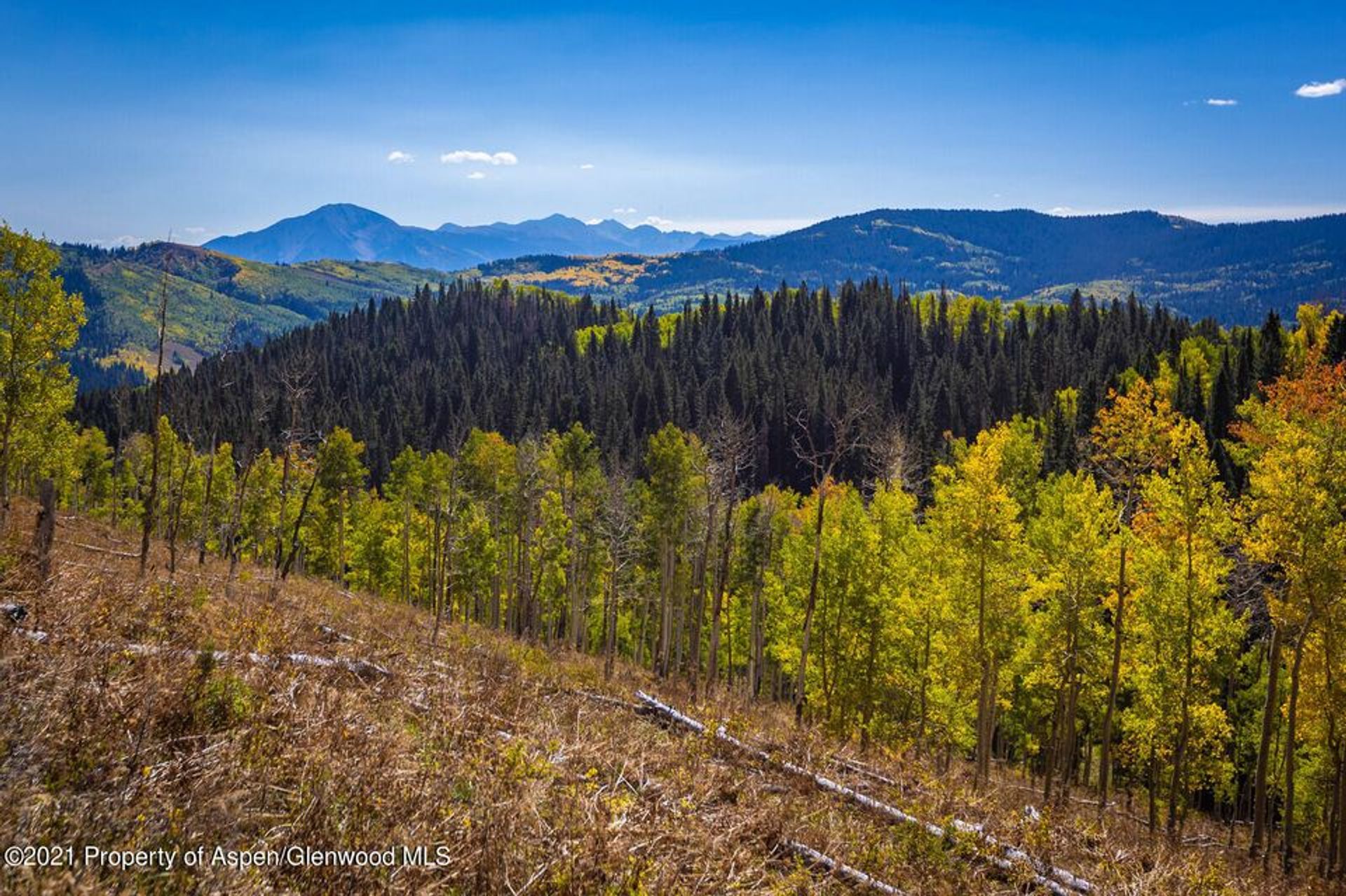 Tanah dalam New Castle, Colorado 11052580