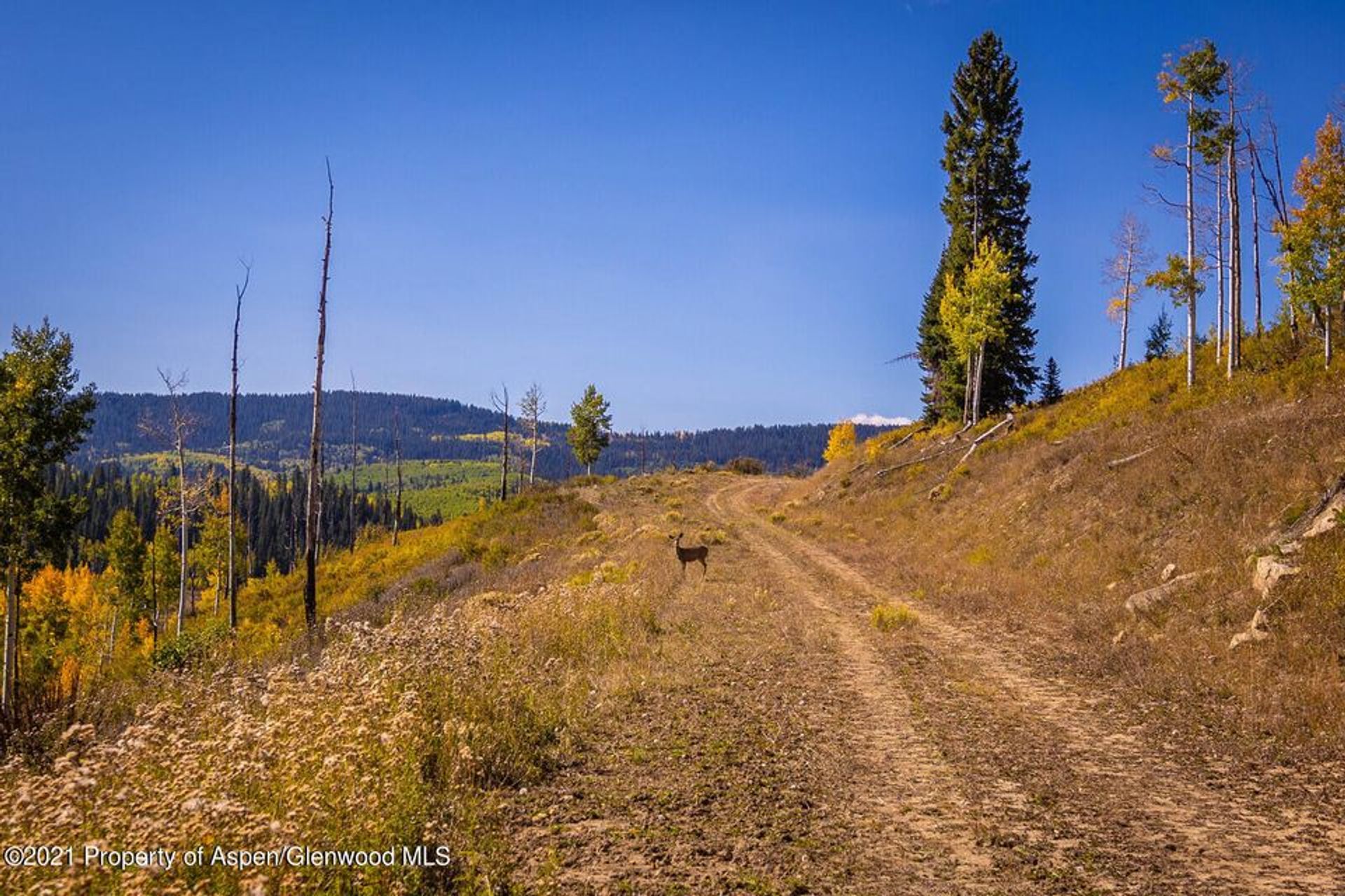 Land i New Castle, Colorado 11052580