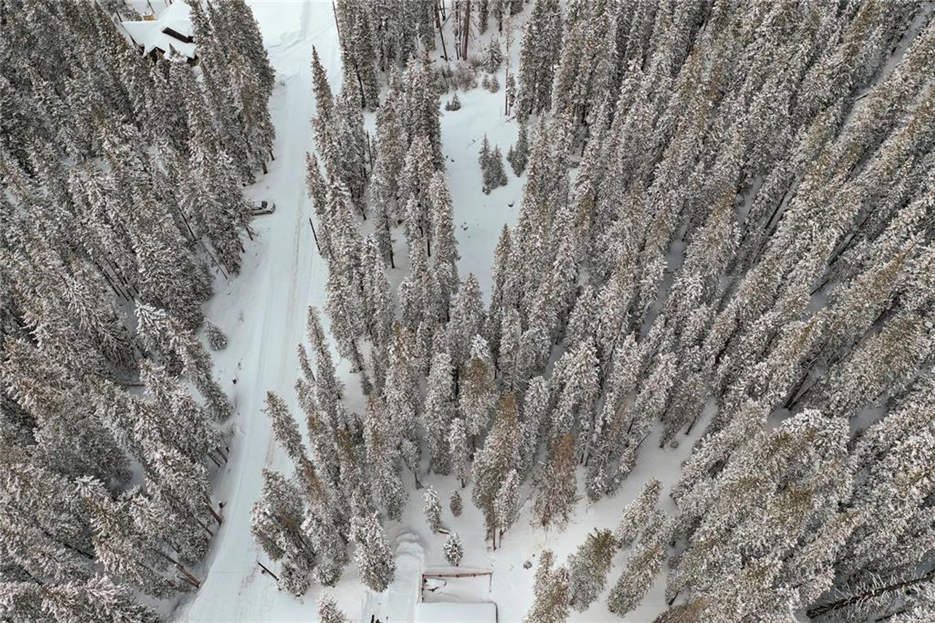 Jord i Breckenridge, Colorado 11052604