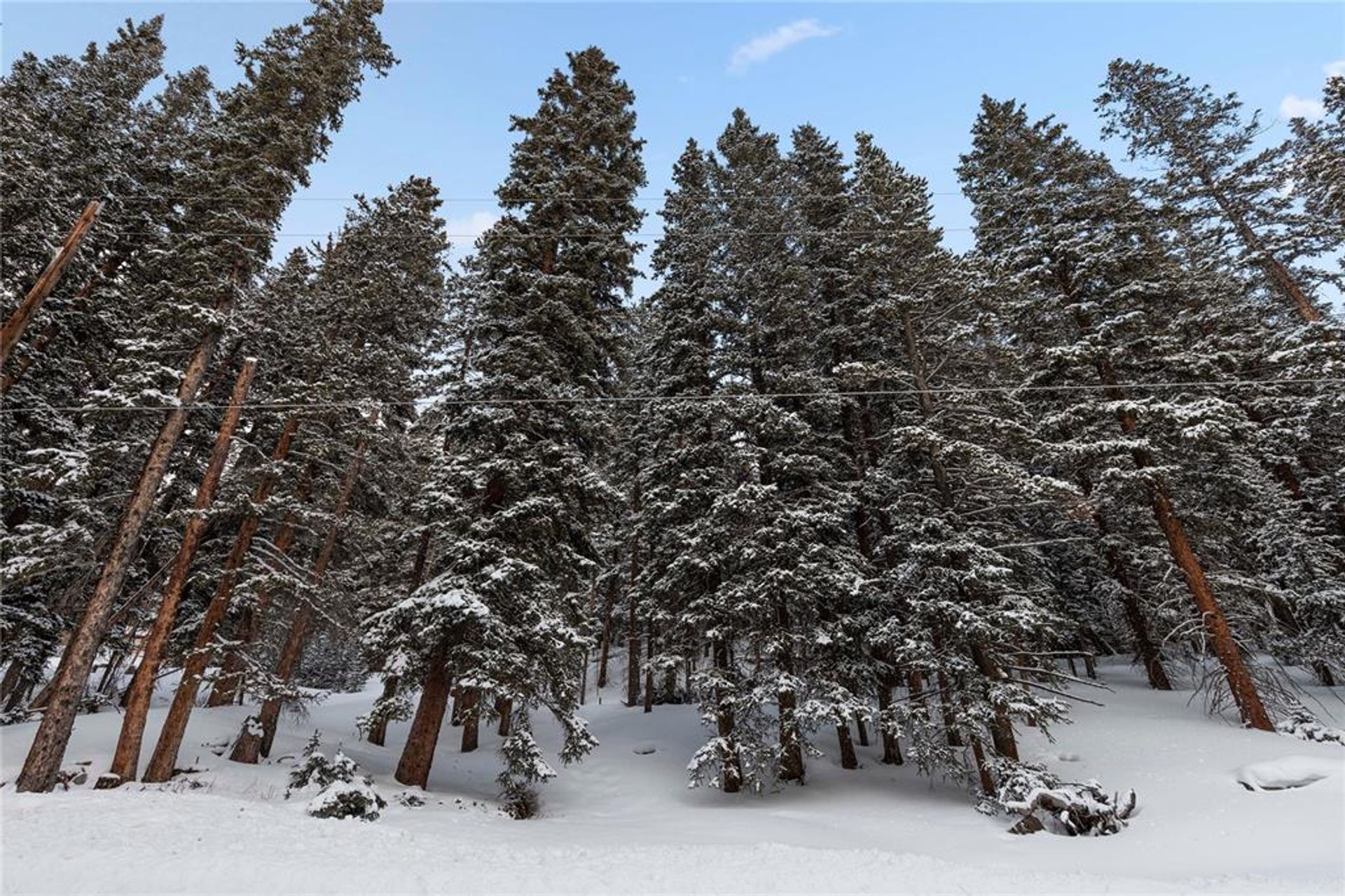 Jord i Breckenridge, Colorado 11052604