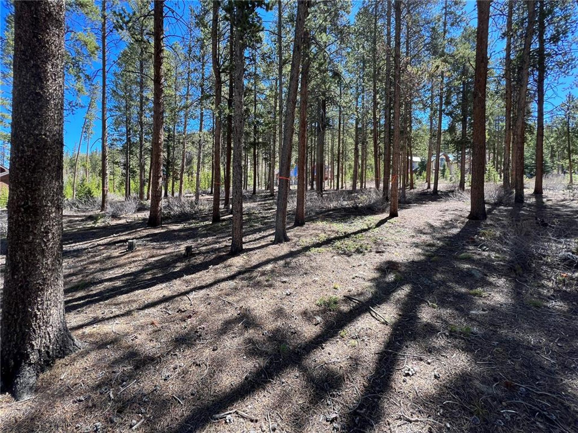 土地 在 Silverthorne, Colorado 11052618