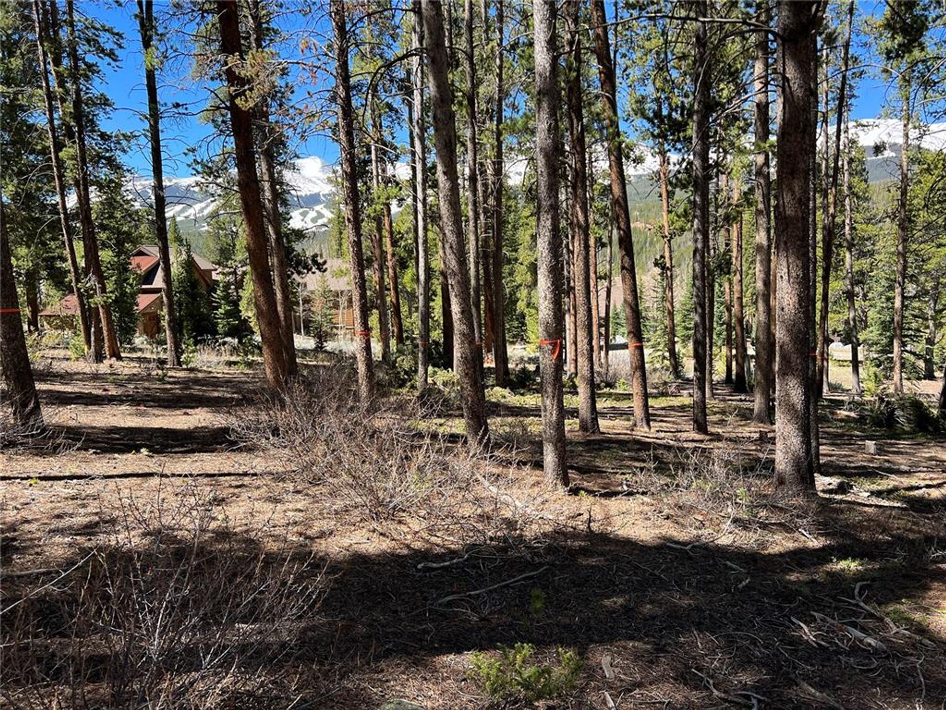 Land in Silverthorne, Colorado 11052618