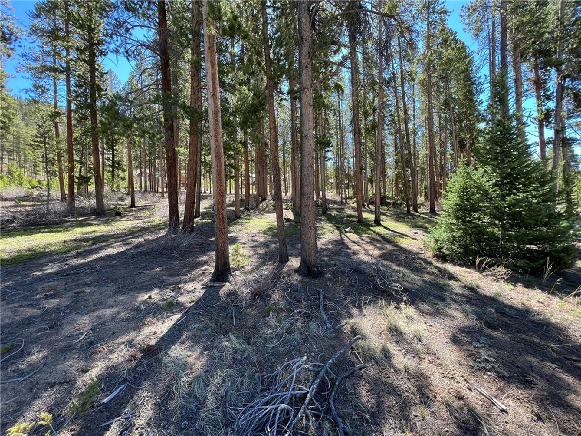 Земля в Silverthorne, Colorado 11052618