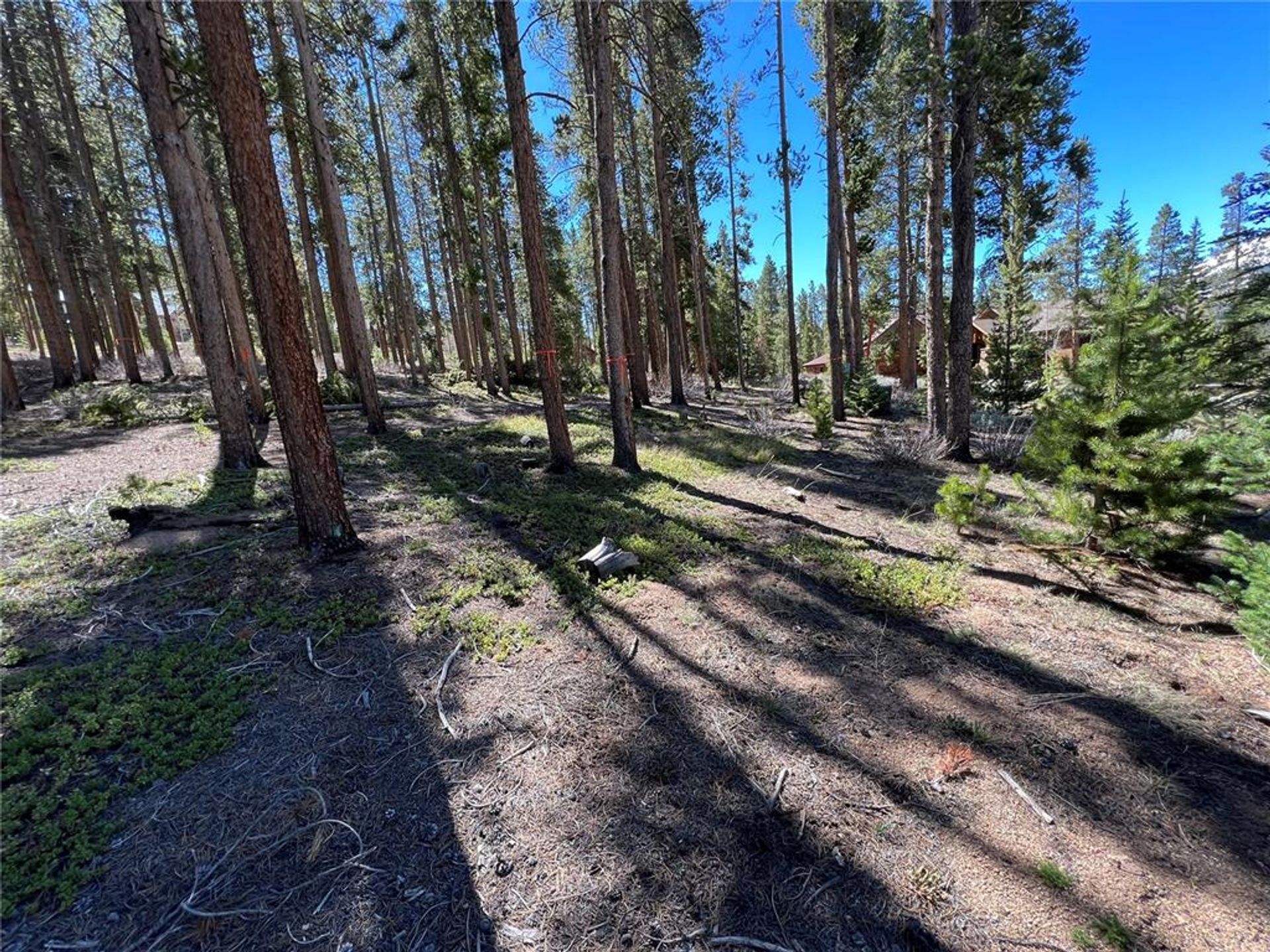 Land in Silverthorne, Colorado 11052618