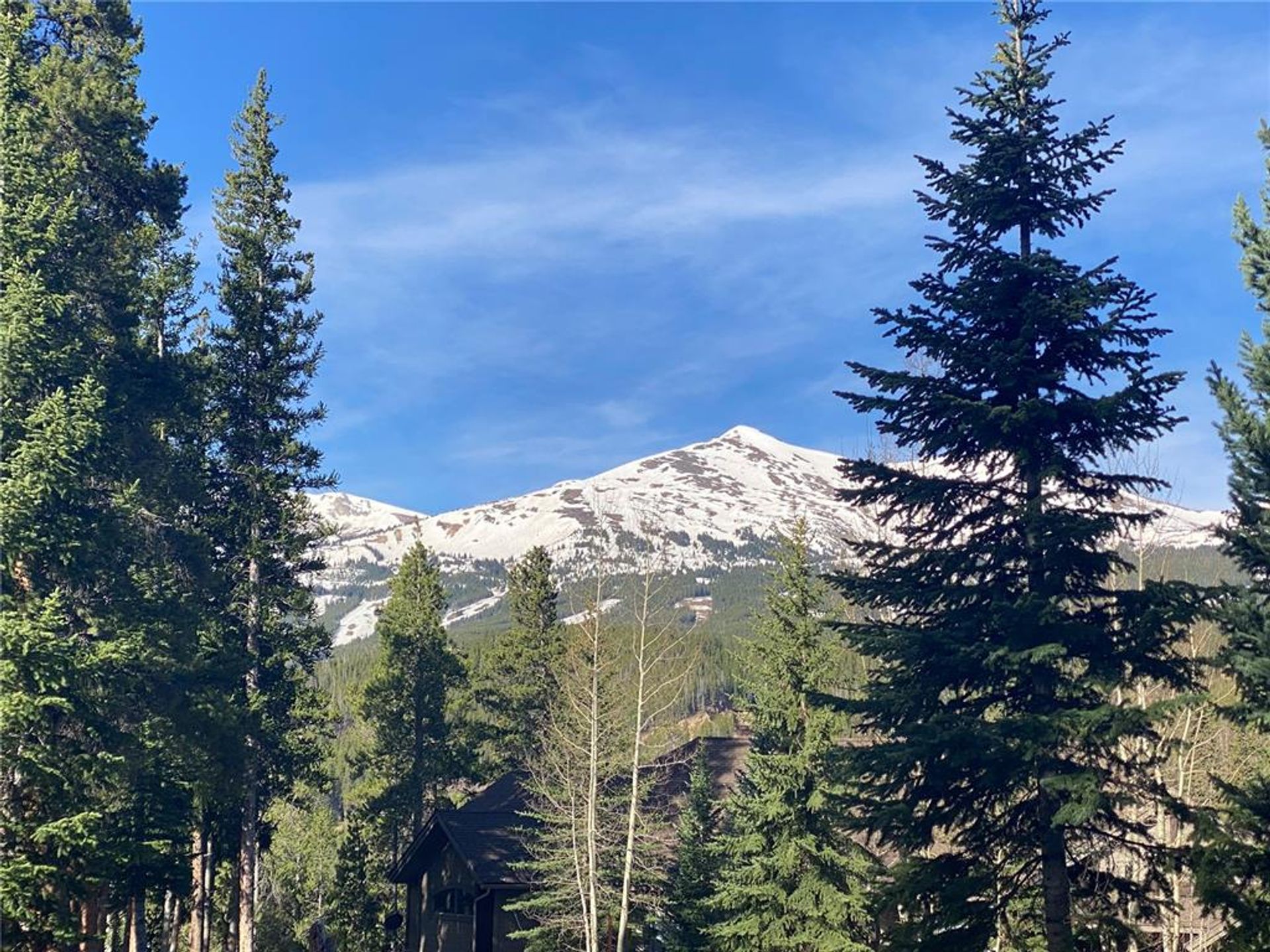 土地 在 Silverthorne, Colorado 11052618