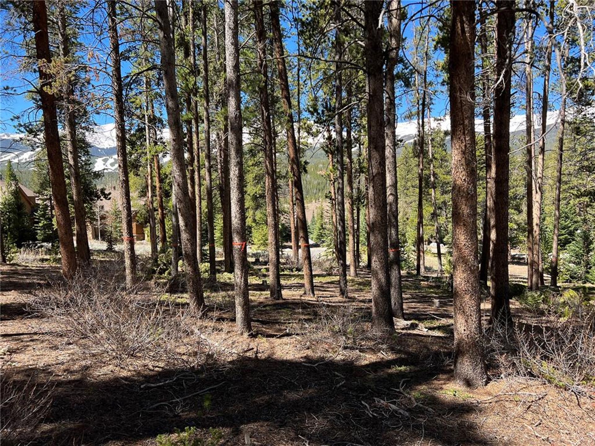 Land in Silverthorne, Colorado 11052618