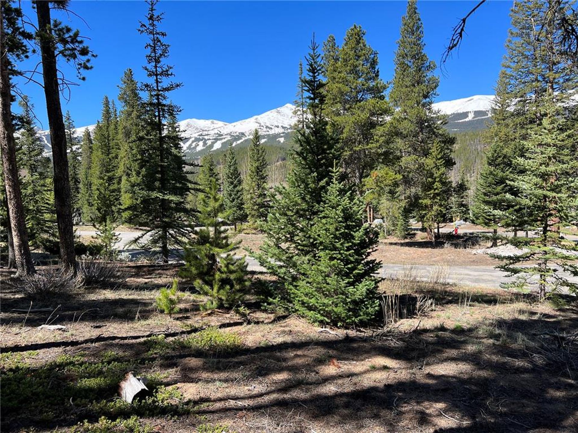 Land in Silverthorne, Colorado 11052618