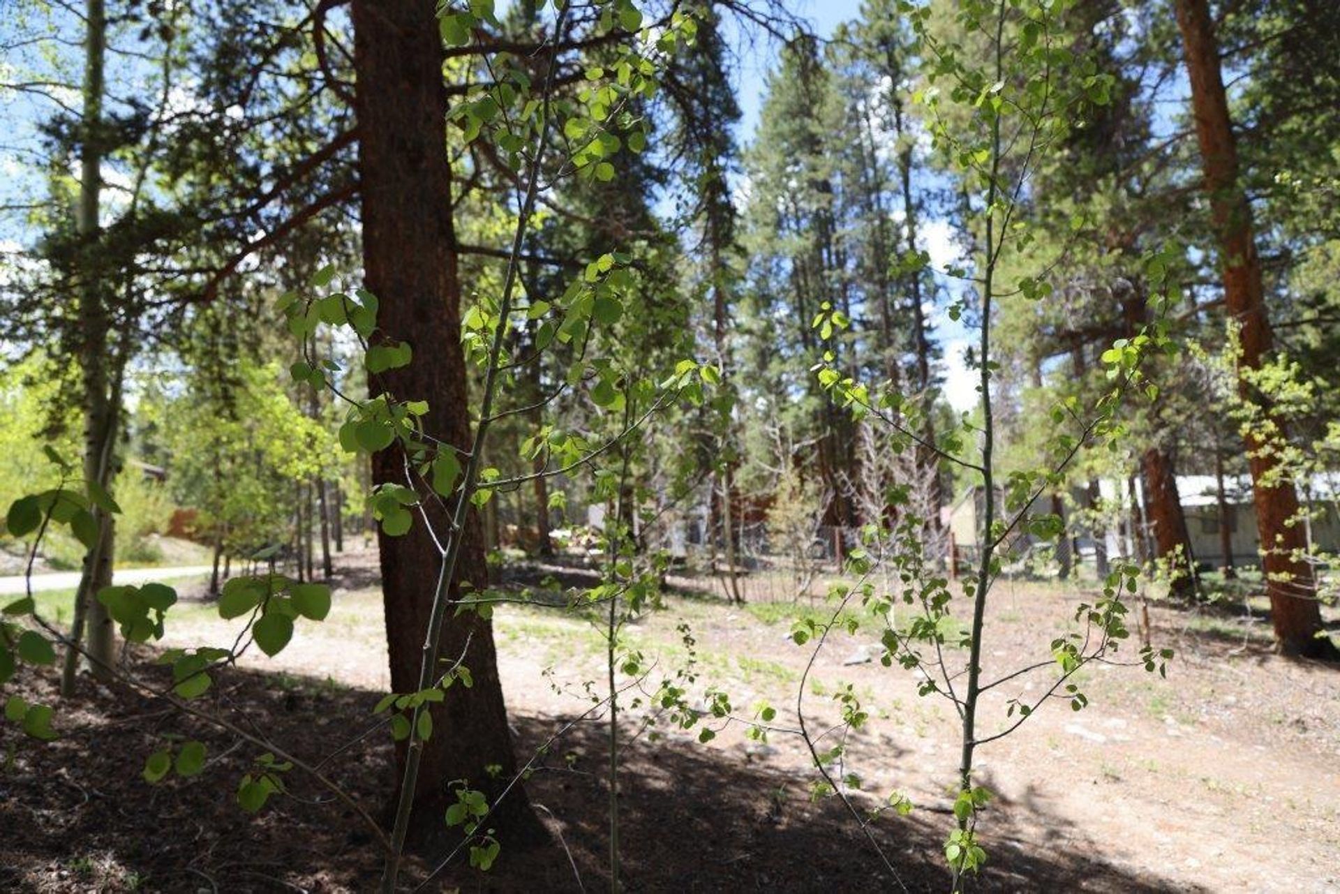 土地 在 Leadville, Colorado 11052627