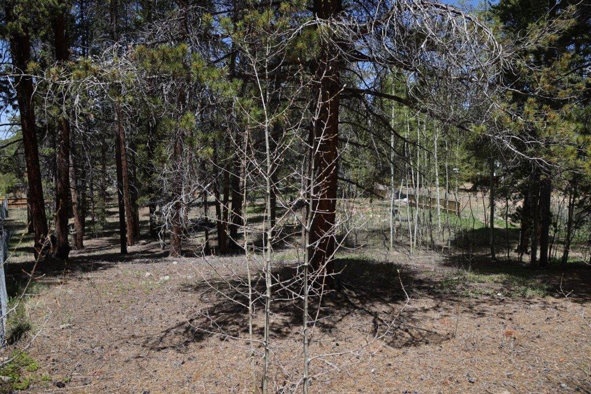 Земельные участки в Leadville, Colorado 11052627