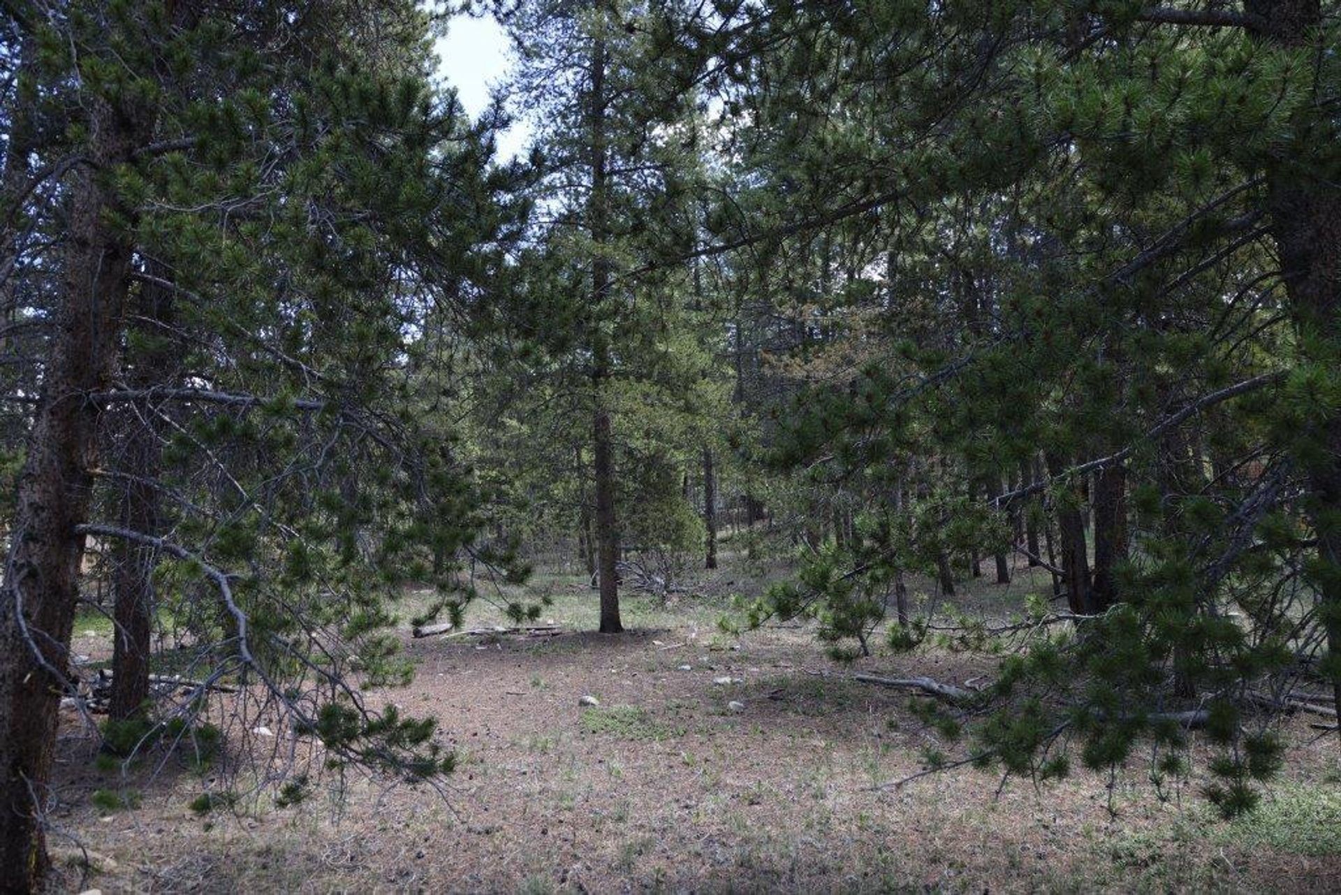 Land in Leadville, Colorado 11052627