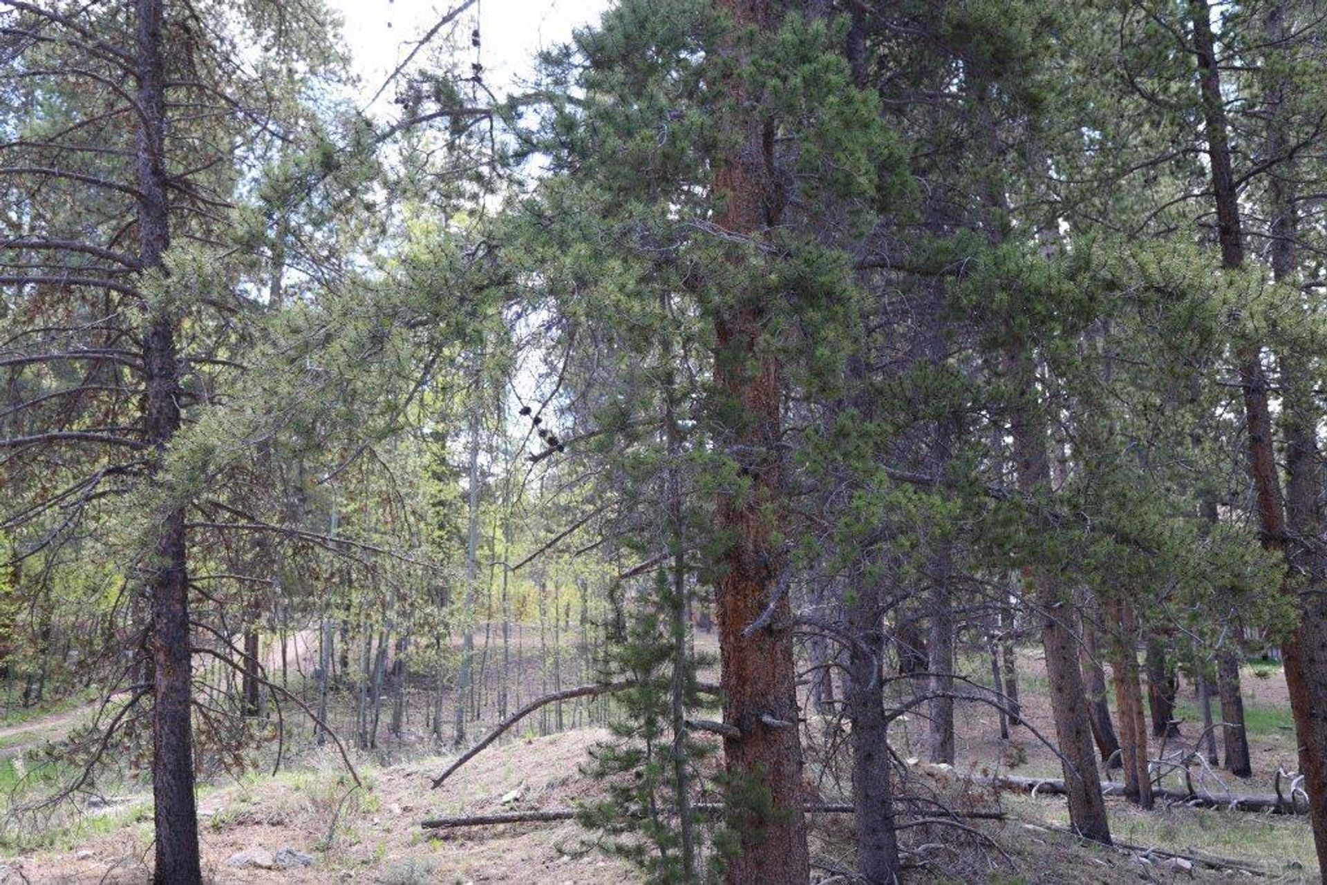 Земельные участки в Leadville, Colorado 11052627