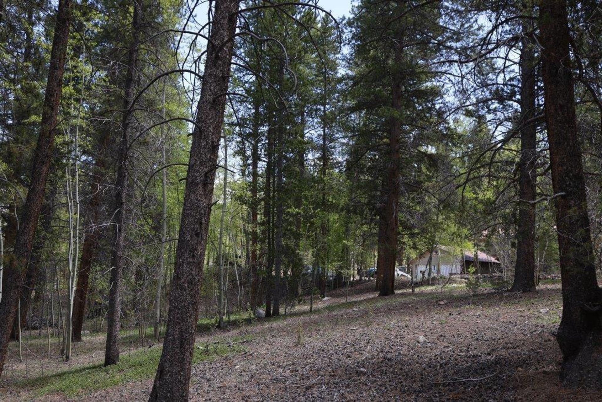 Земельные участки в Leadville, Colorado 11052627