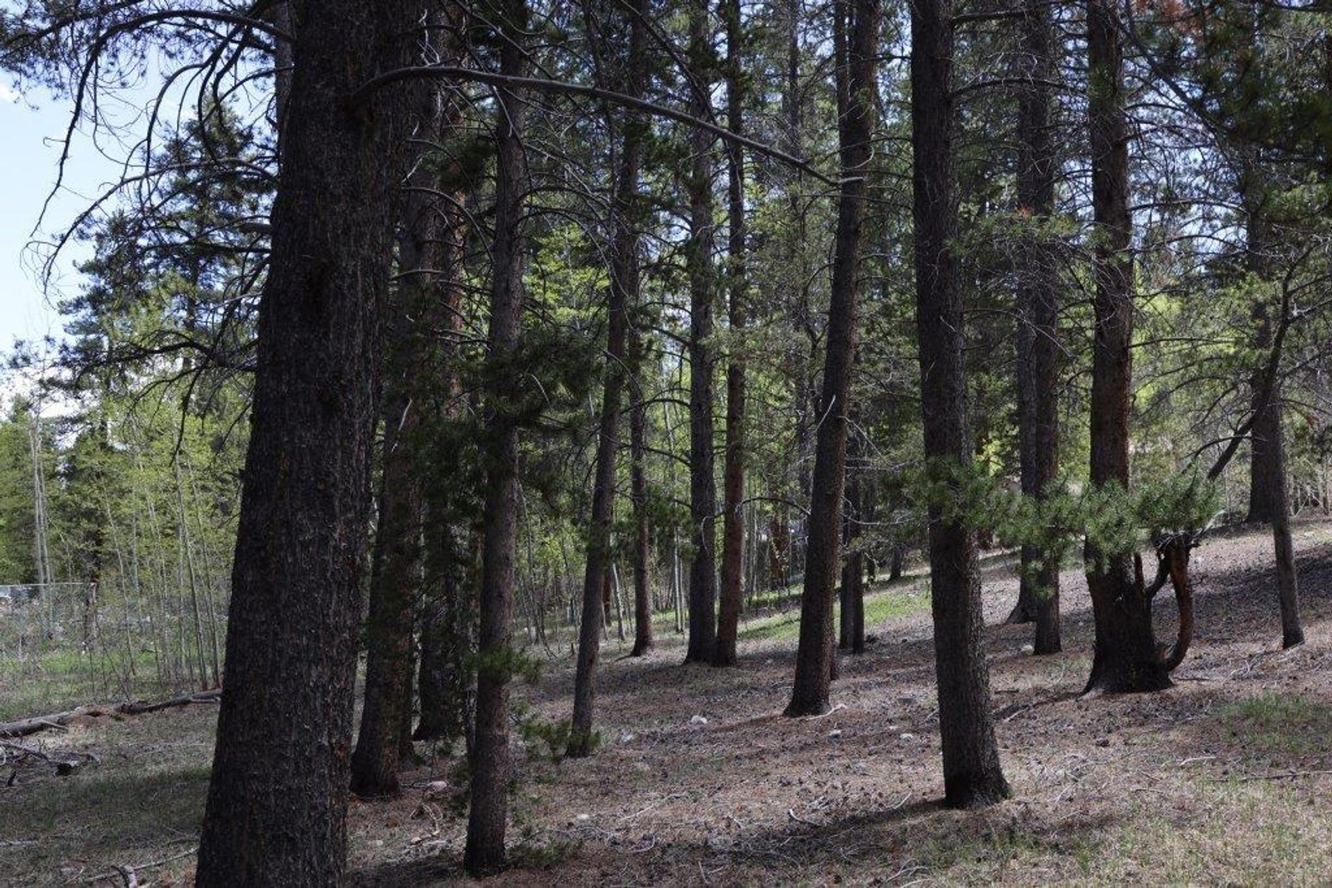 Terre dans Leadville, Colorado 11052627